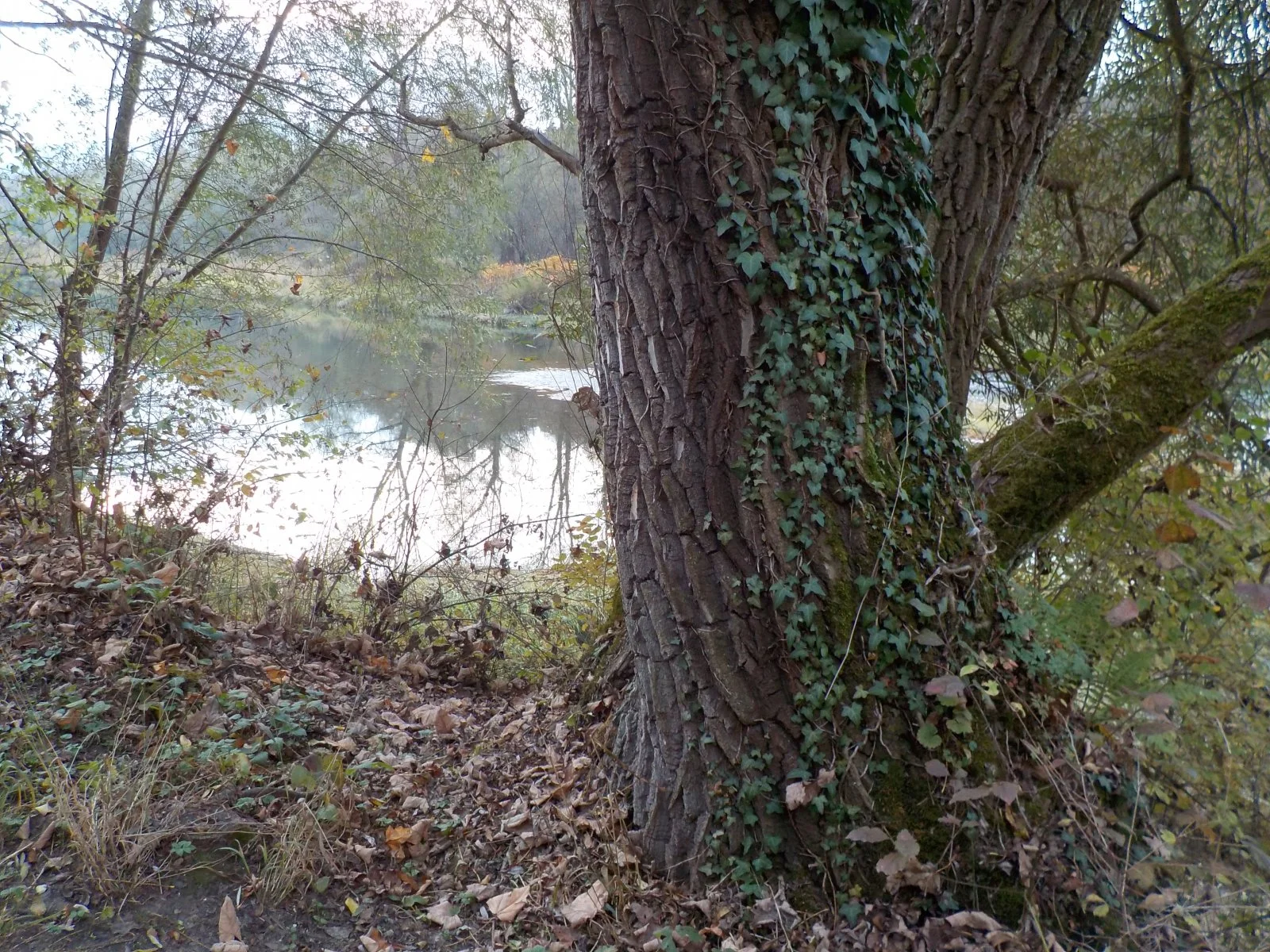 DSCN2819.JPG