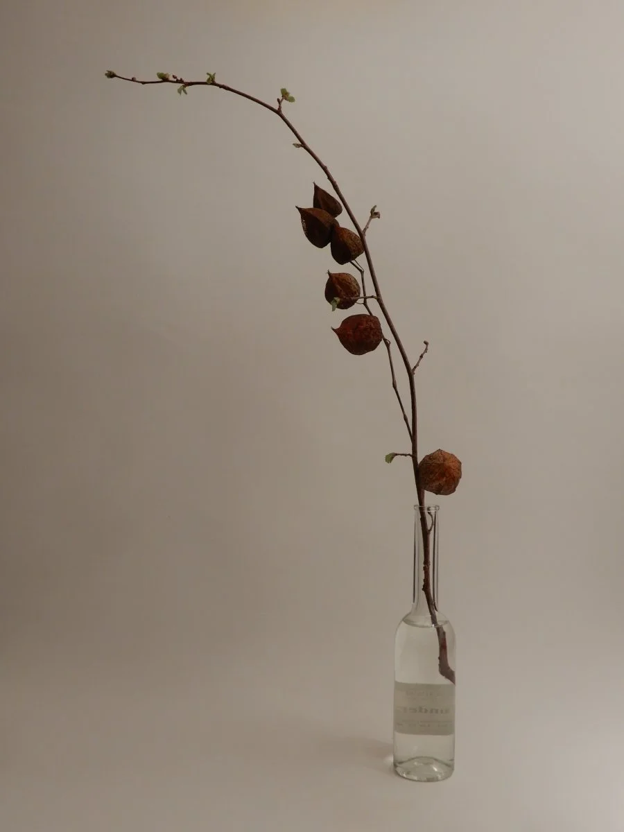 DSCN2881.JPG