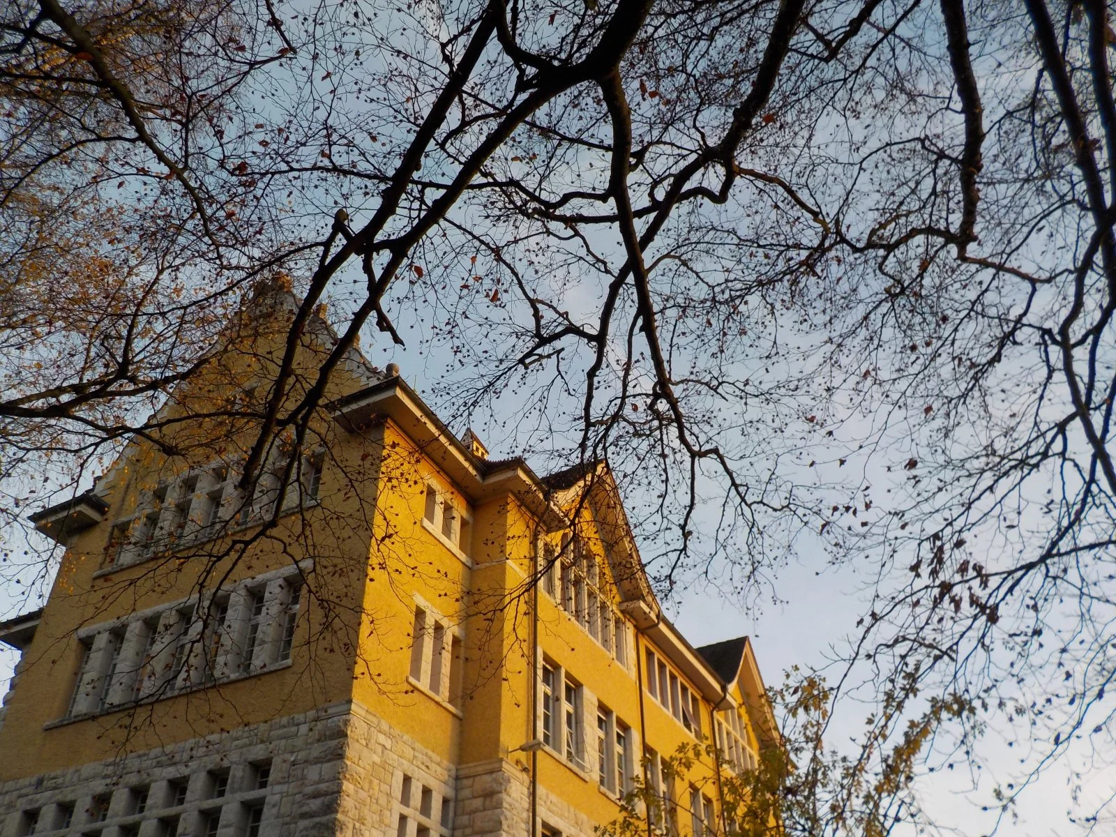 DSCN2959.JPG