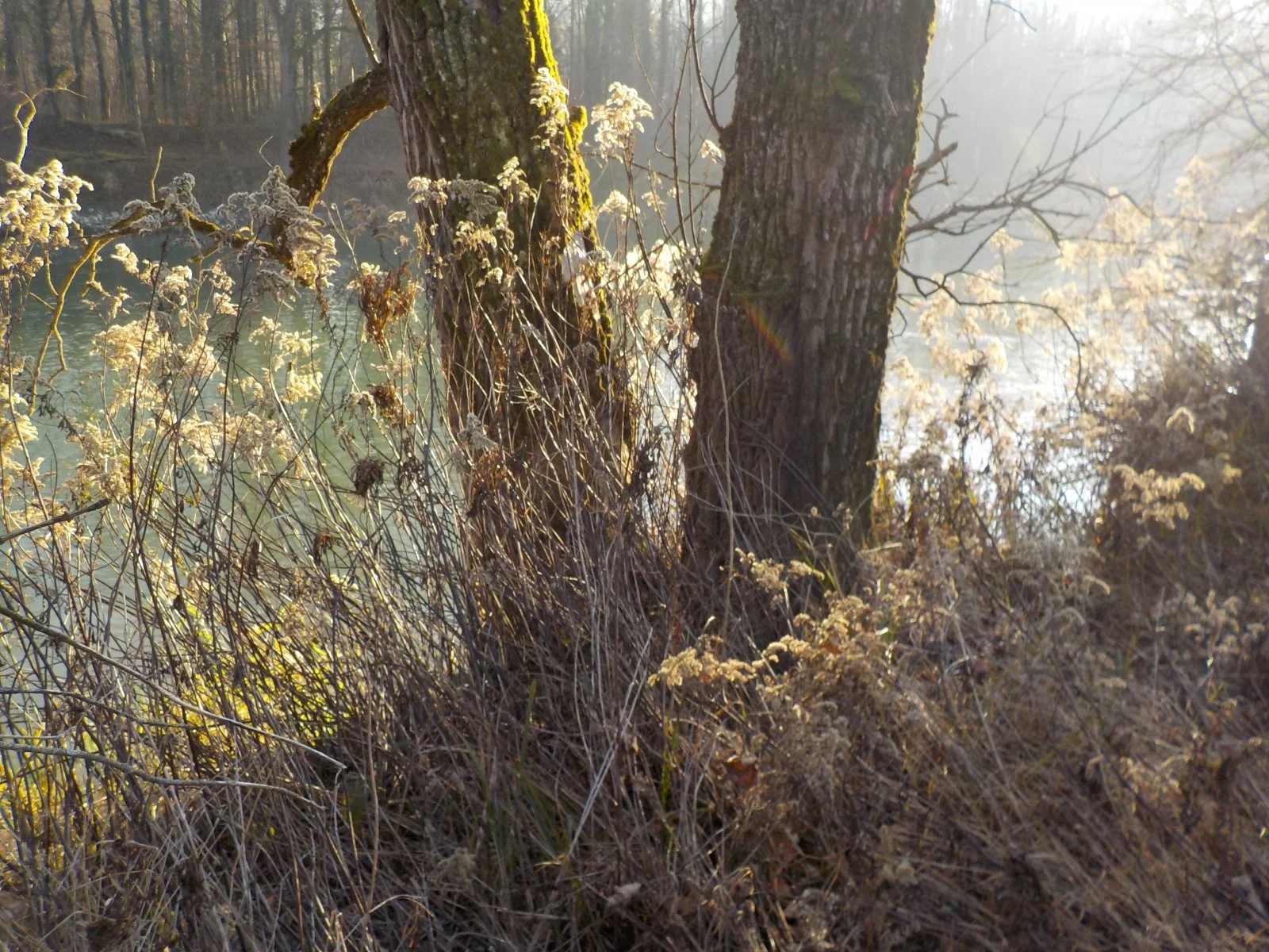 DSCN2994.JPG