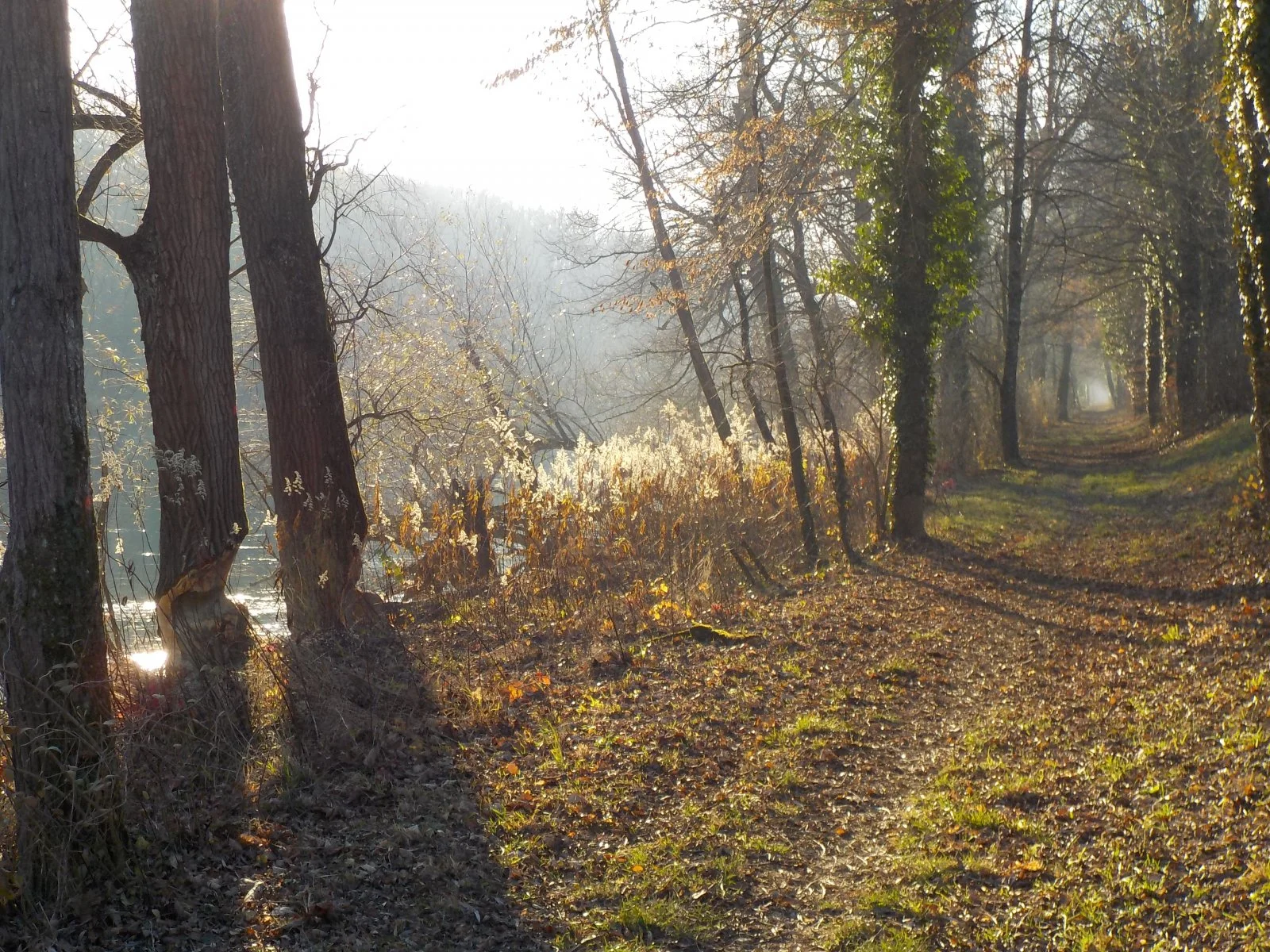 DSCN2995.JPG