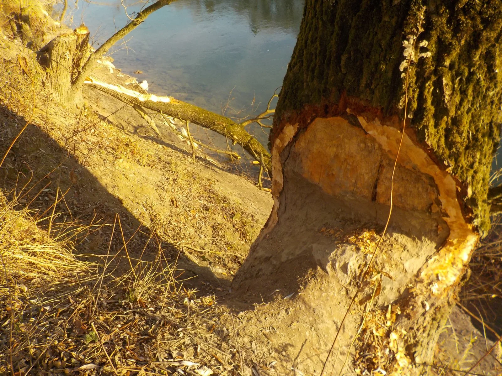 DSCN3044.JPG