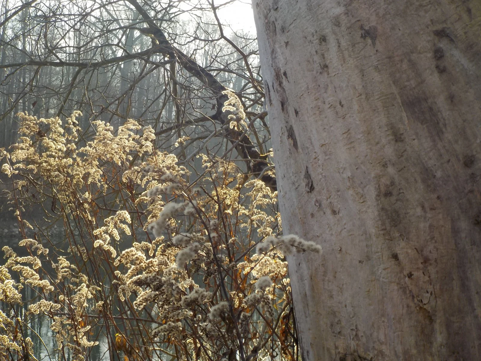 DSCN3048.JPG
