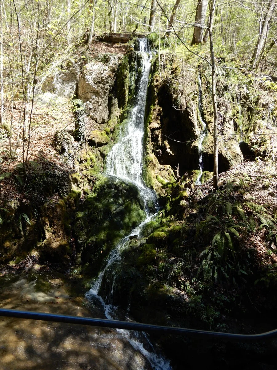 DSCN3128.JPG