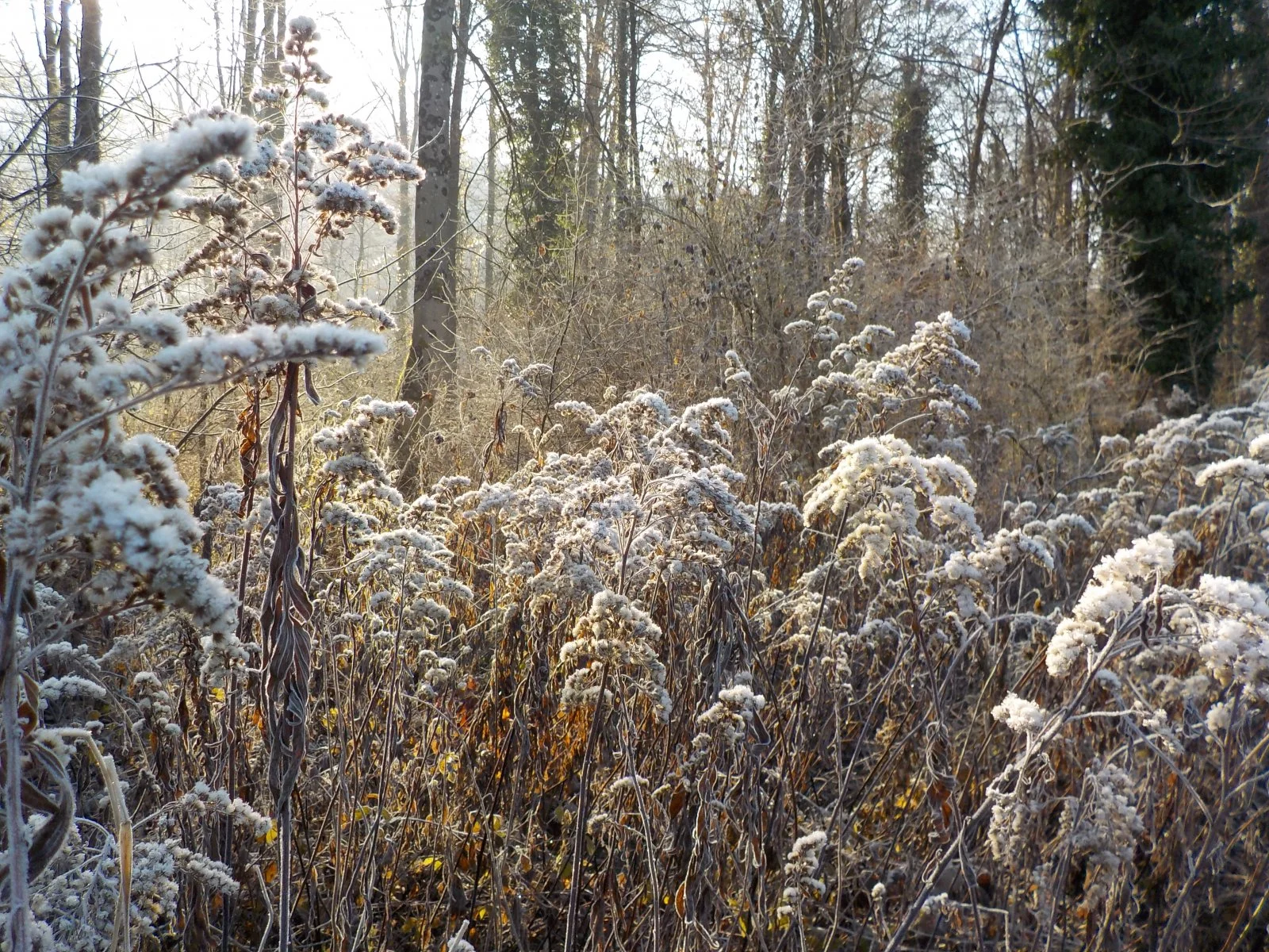 DSCN3170.JPG