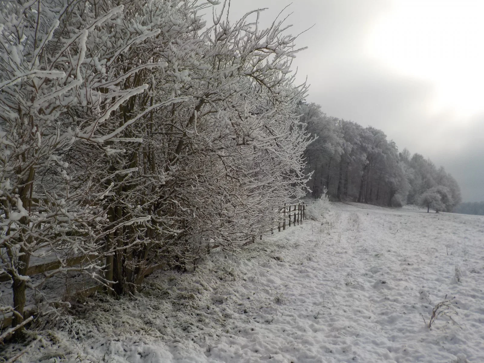 DSCN3179.JPG
