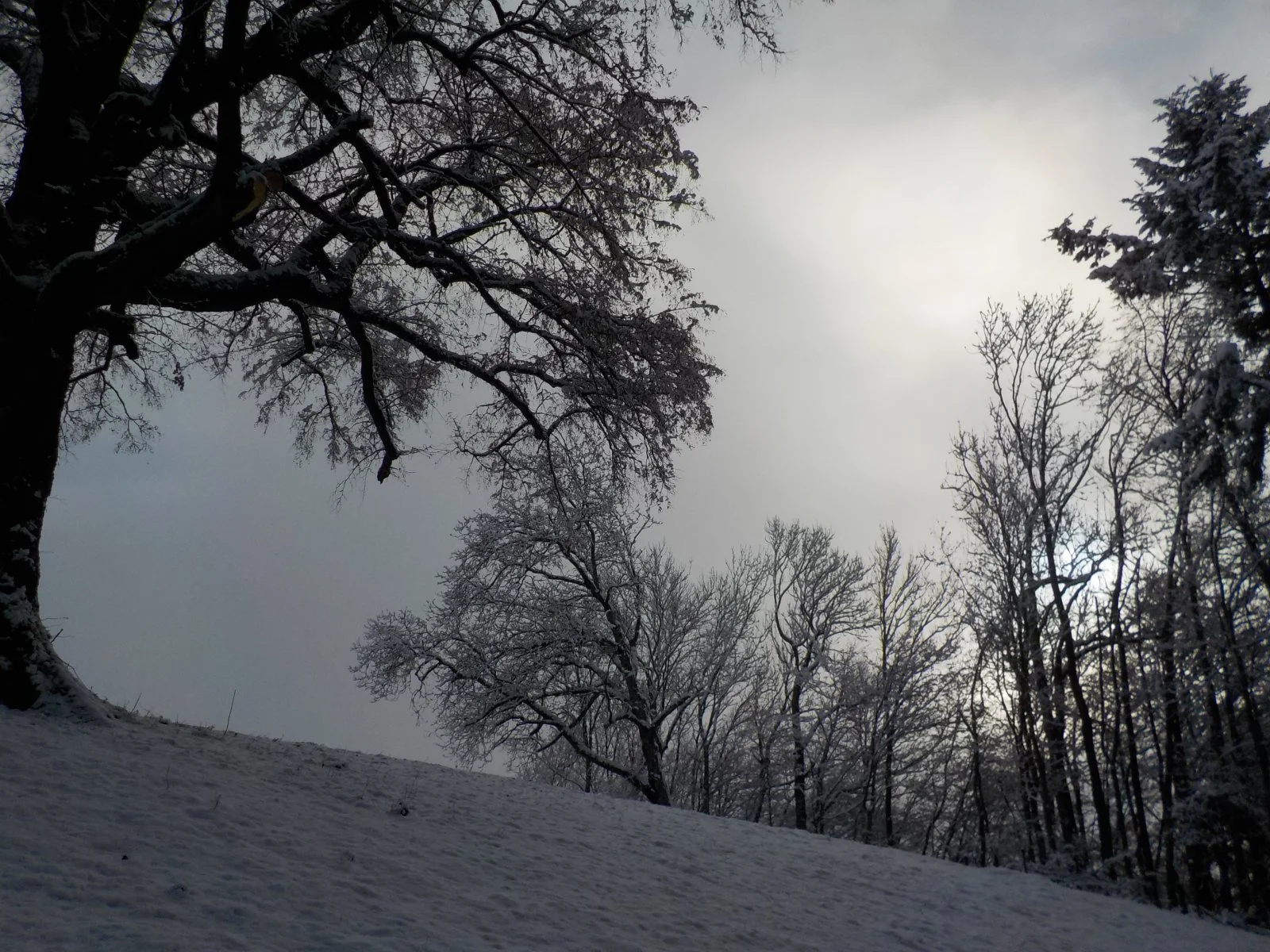DSCN3187.JPG