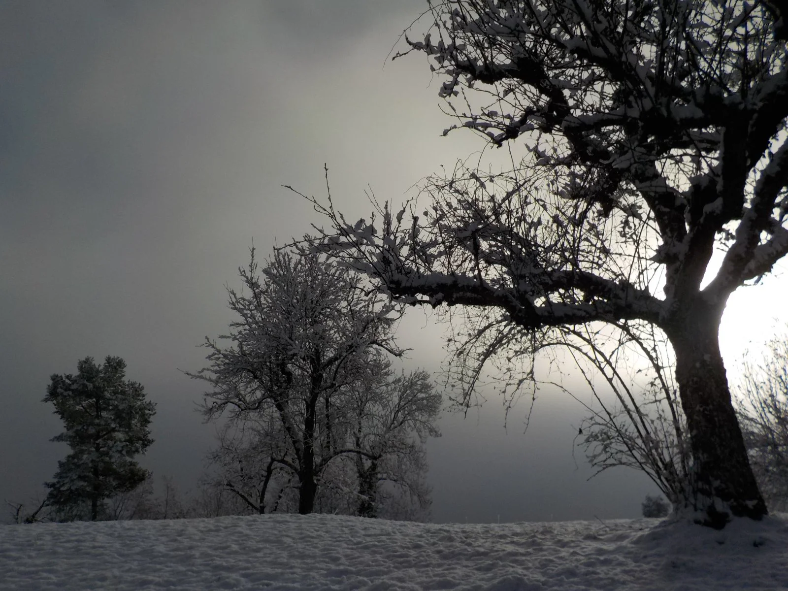 DSCN3194.JPG