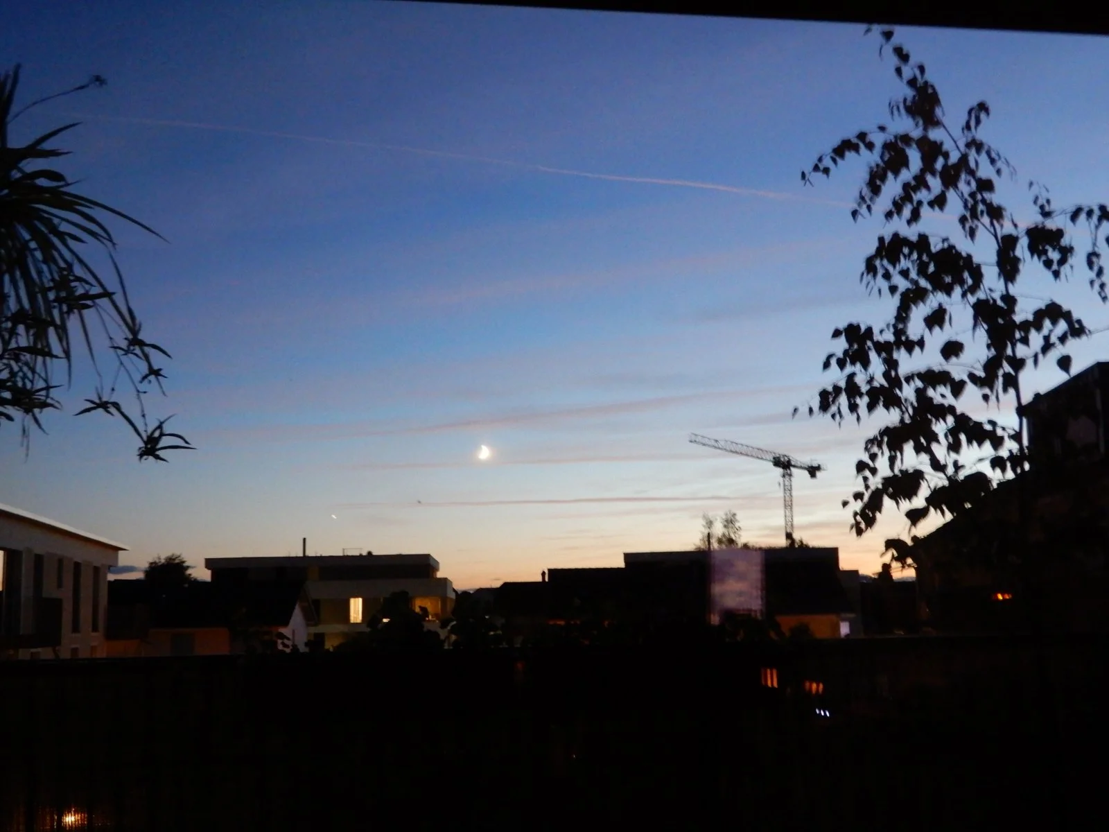 DSCN3453.JPG