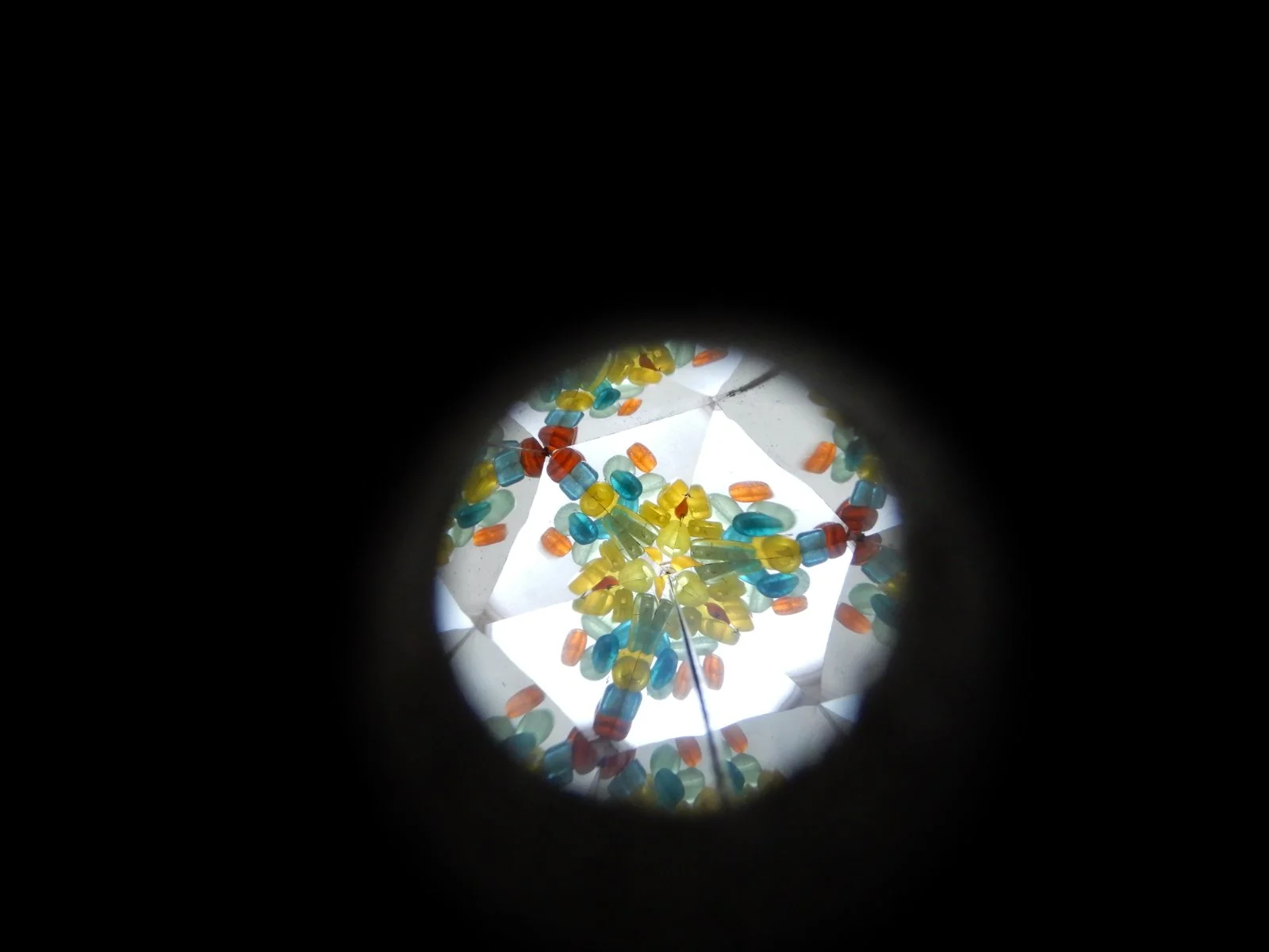 DSCN3528.JPG