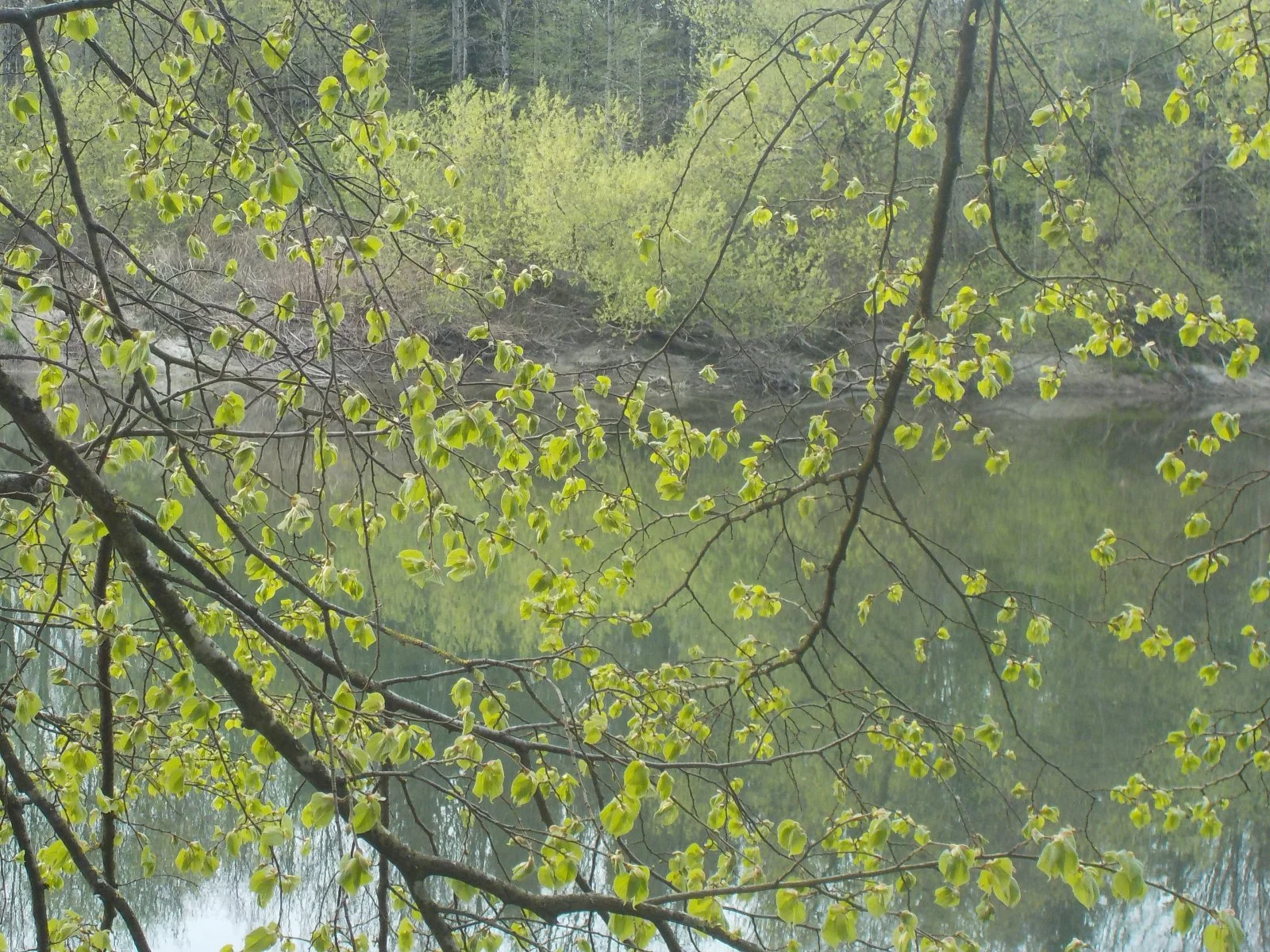 DSCN3554.JPG