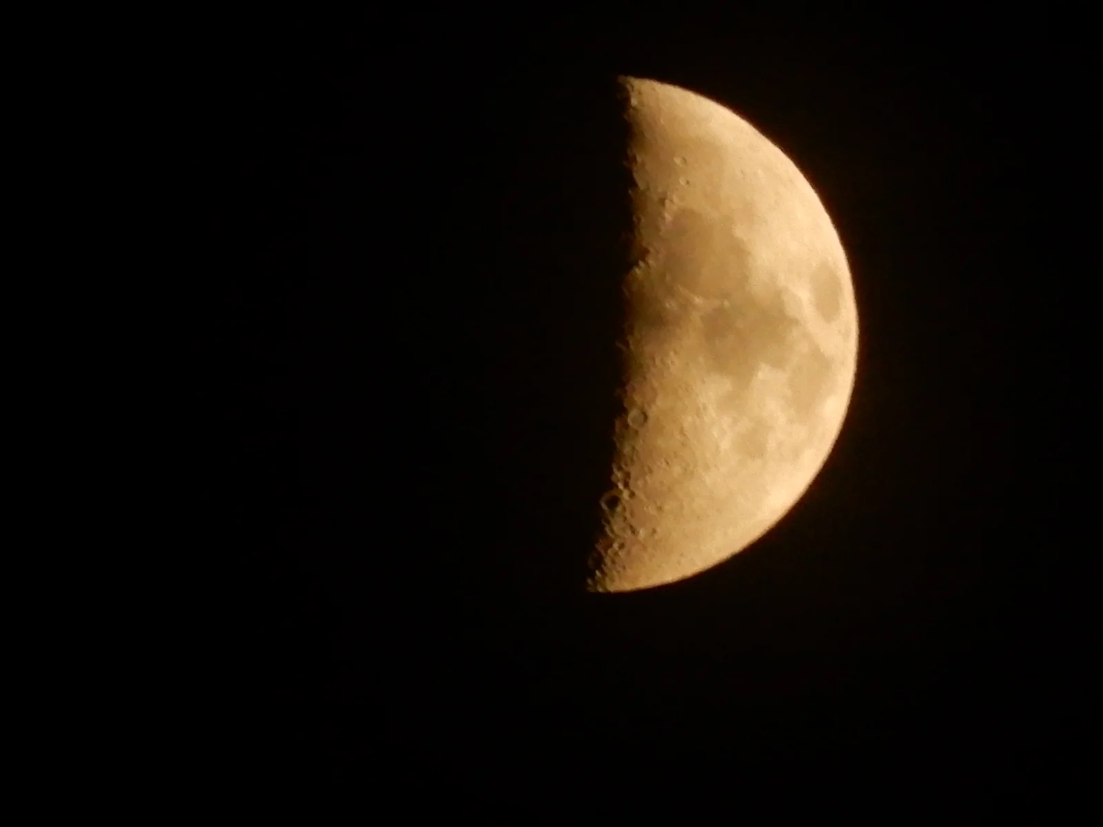 DSCN3619.webp