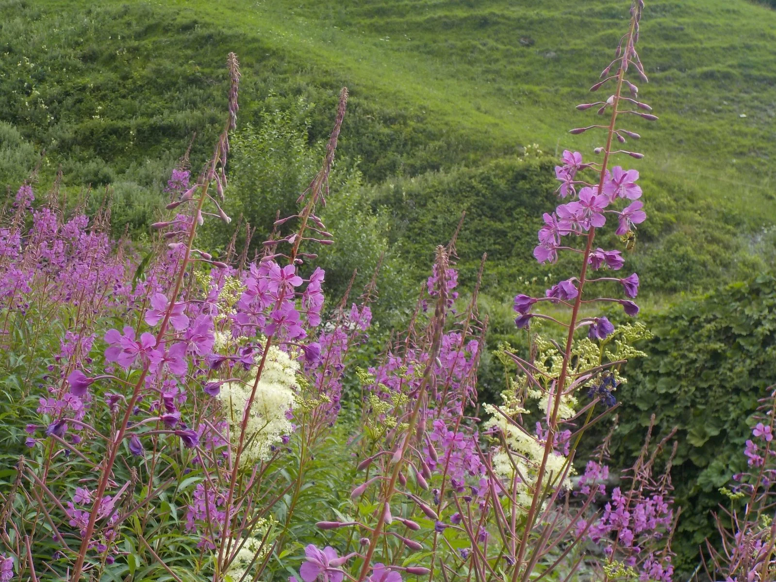 DSCN3765.JPG