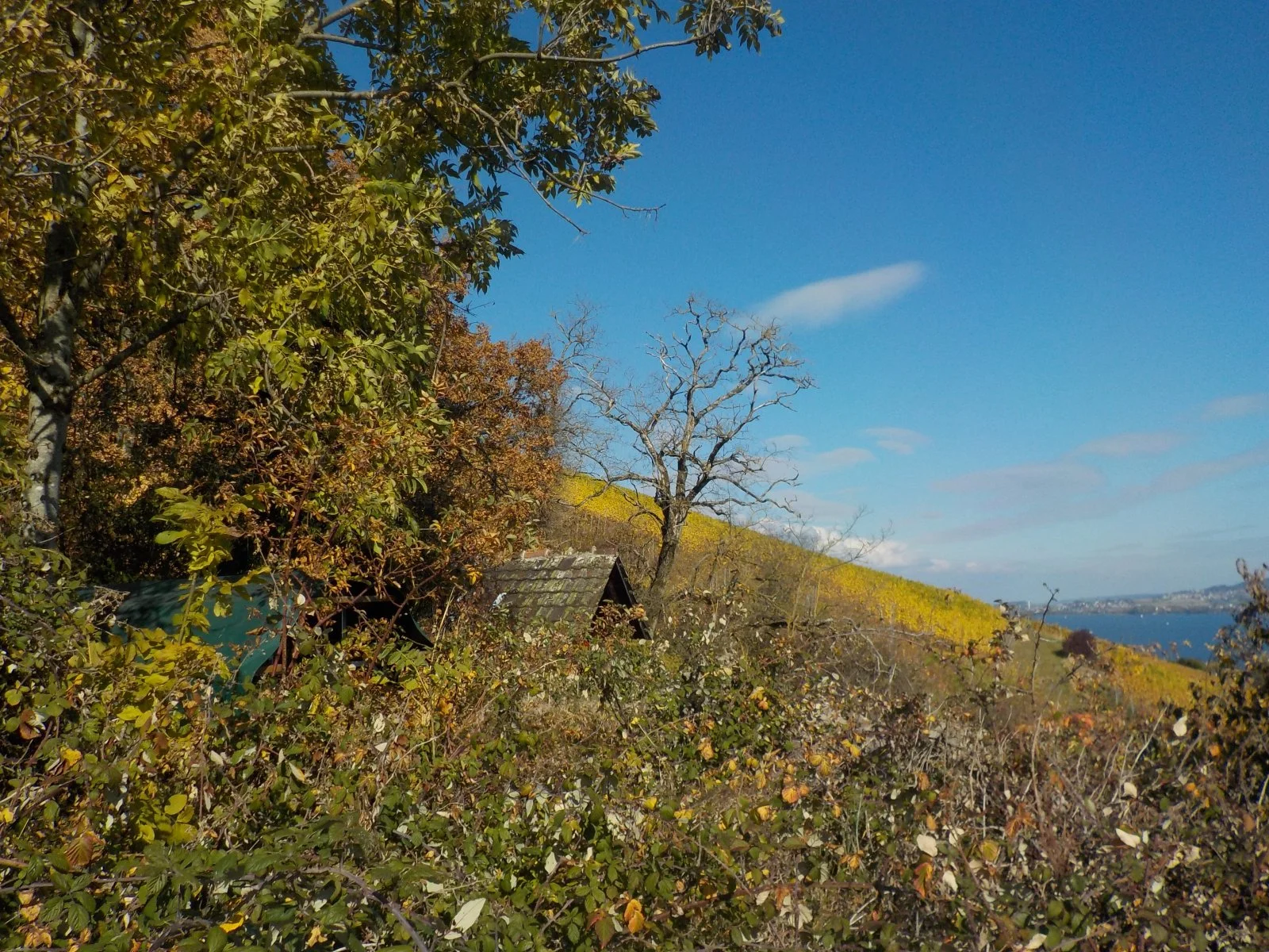 DSCN3919.JPG