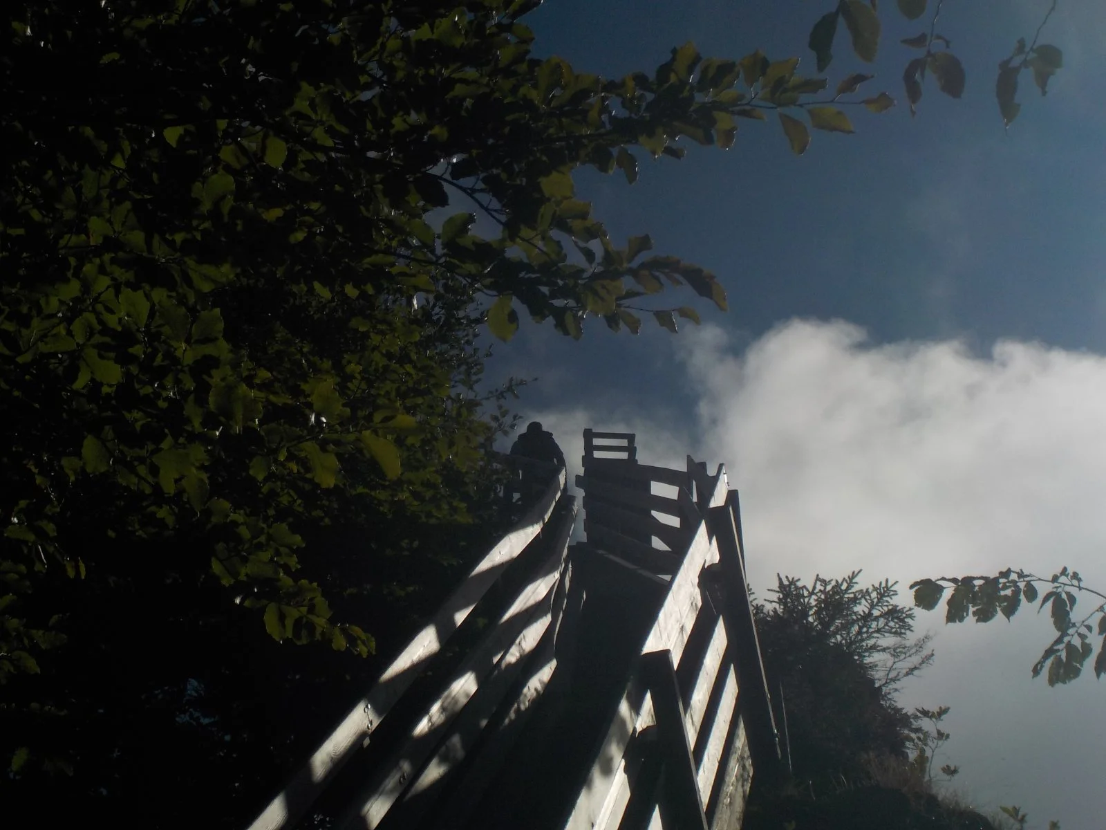 DSCN4015.JPG