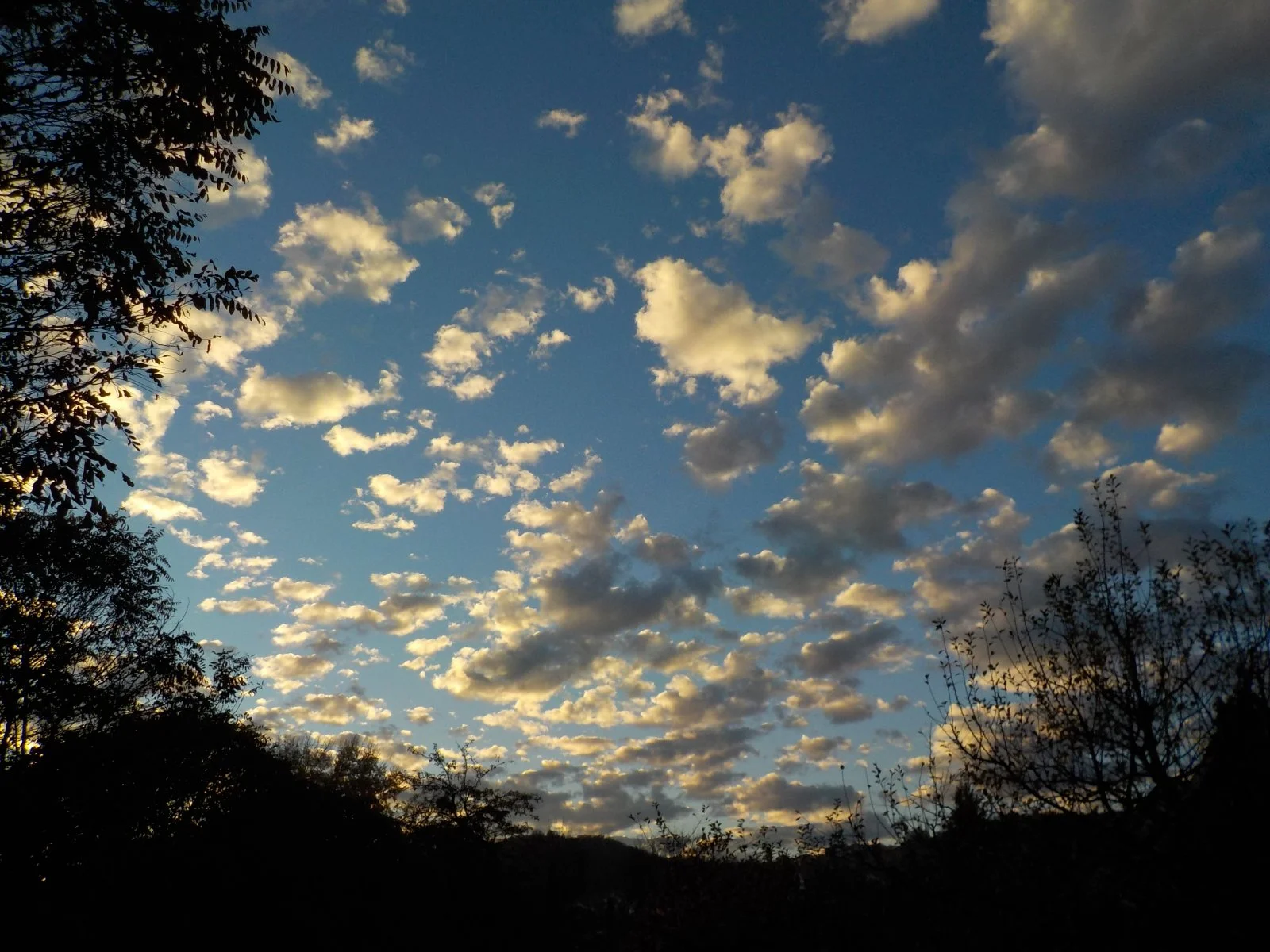 DSCN4070.JPG