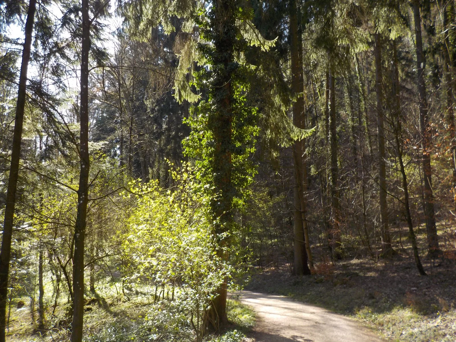 DSCN4348.JPG