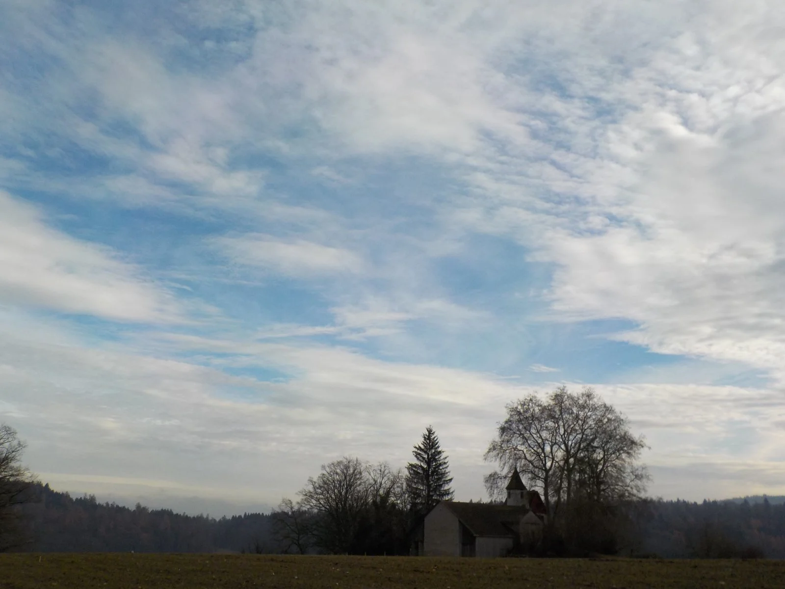 DSCN4478.JPG