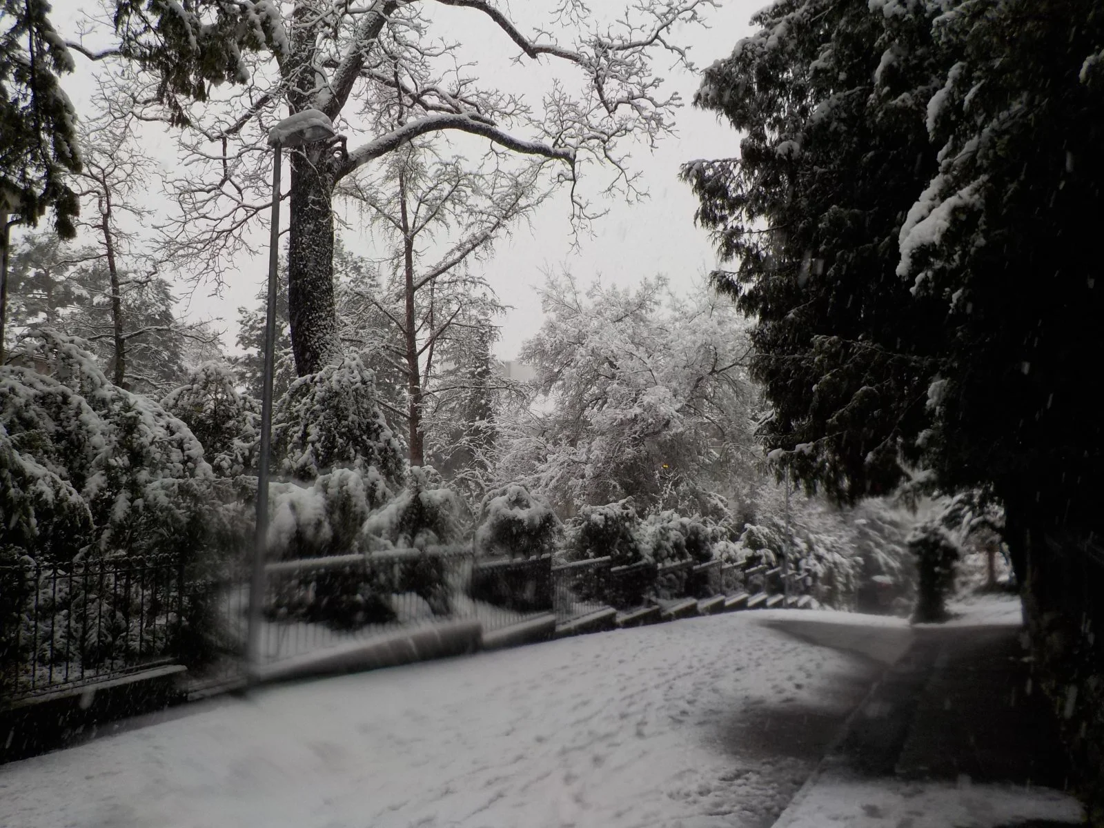 DSCN4488.JPG