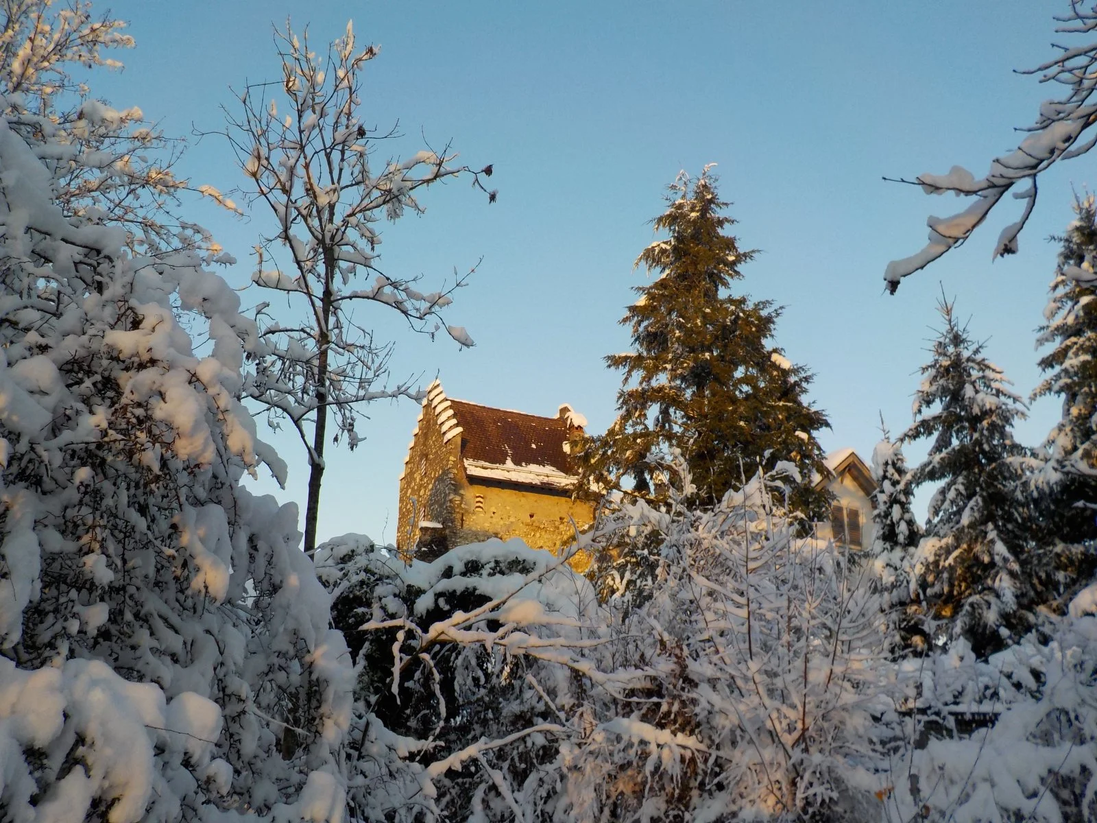 DSCN4515.JPG