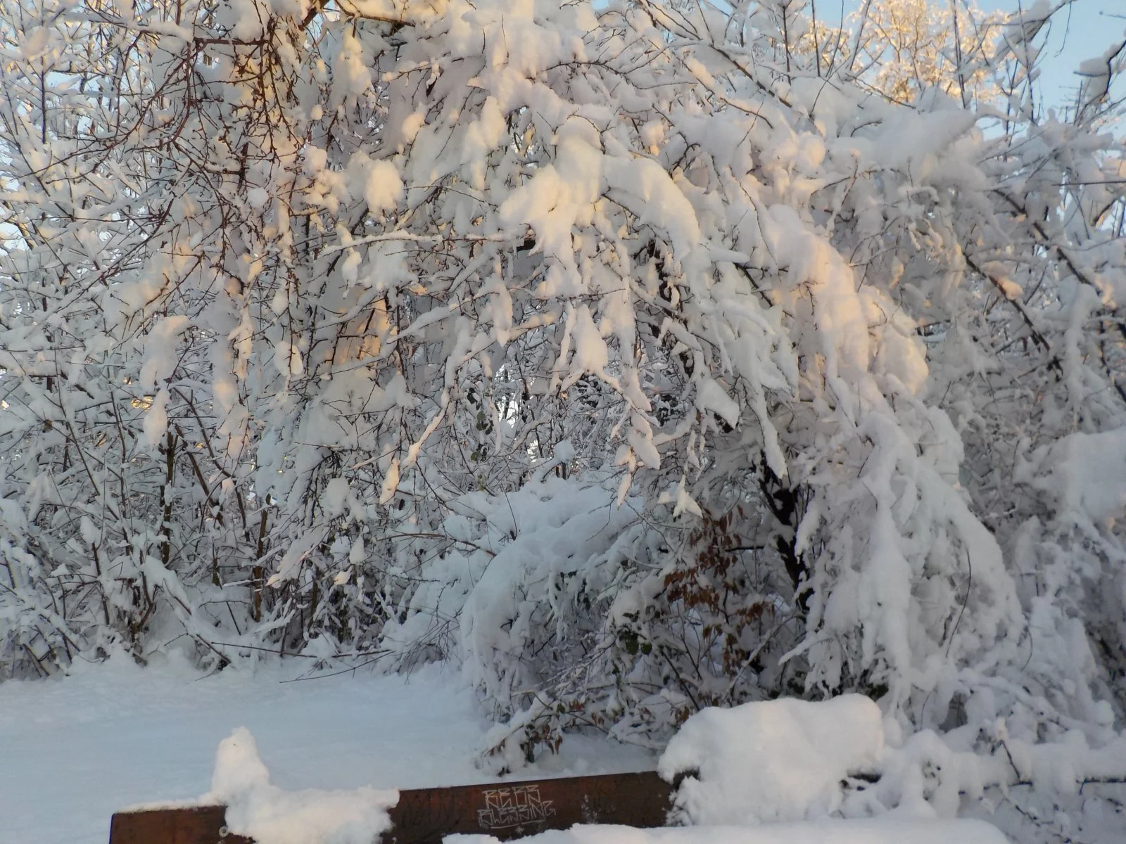 DSCN4517.JPG