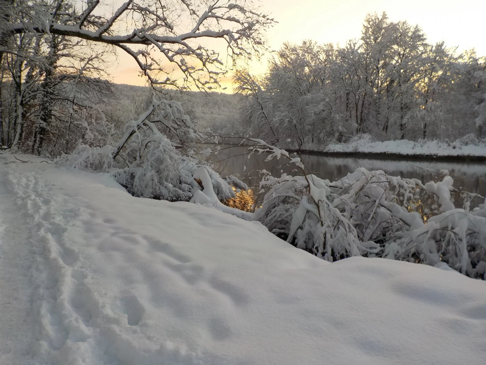 DSCN4530.JPG