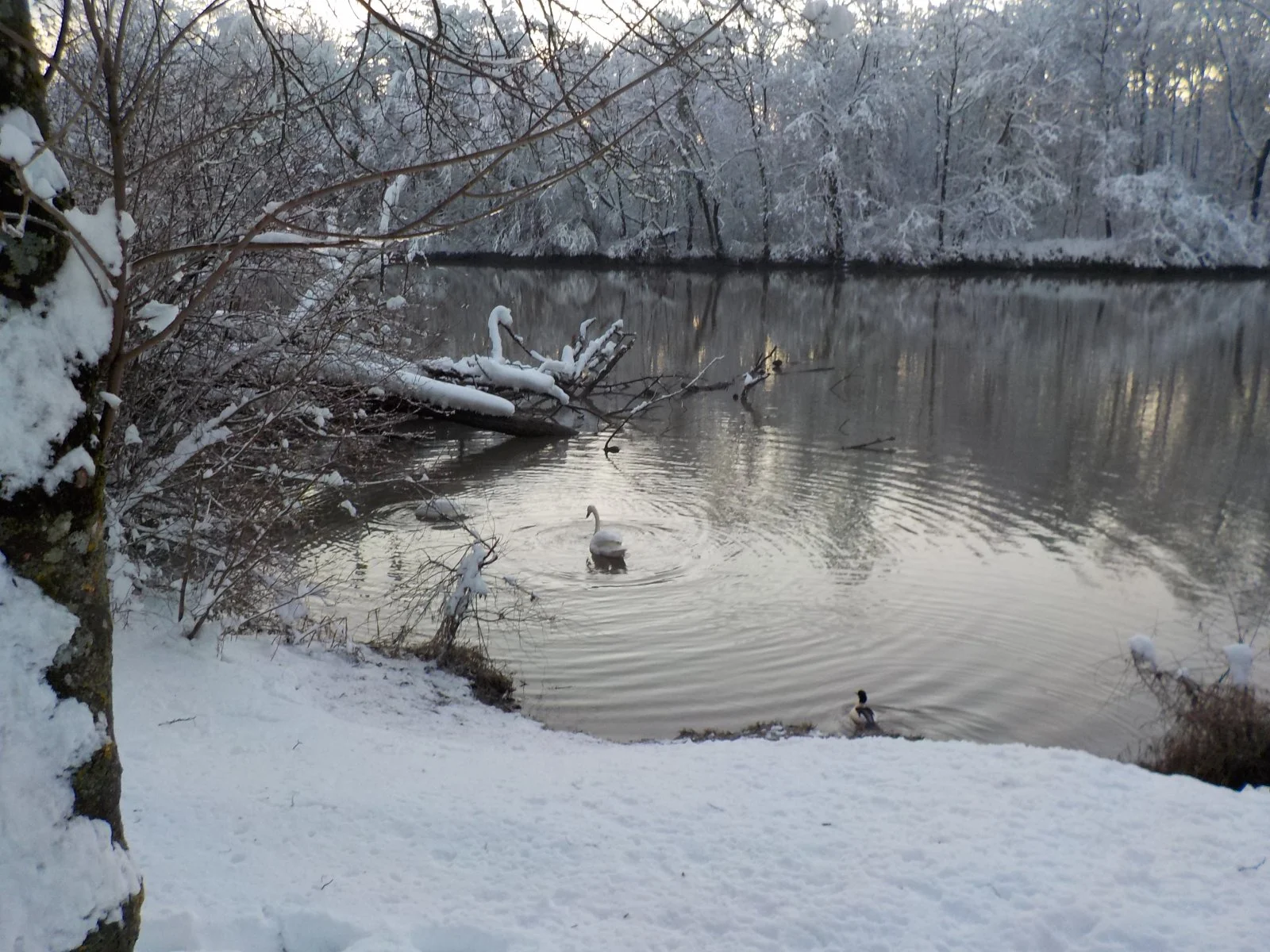 DSCN4539.JPG