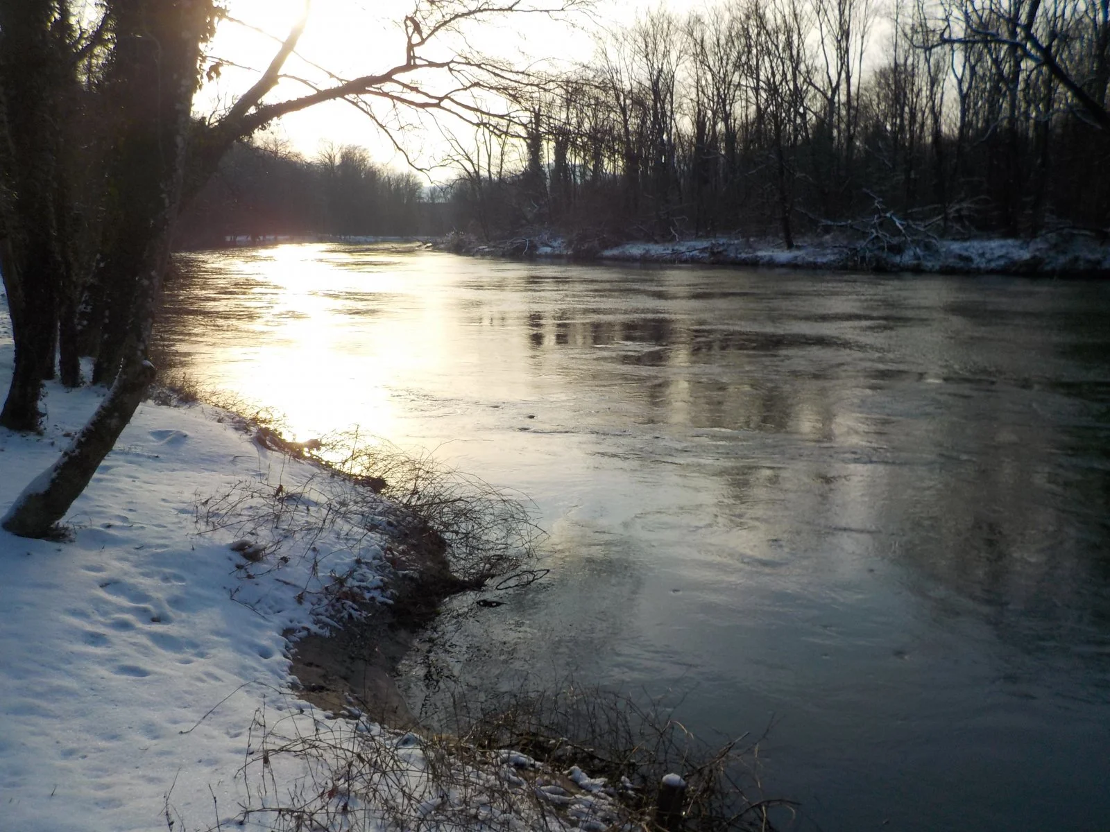 DSCN4557.JPG