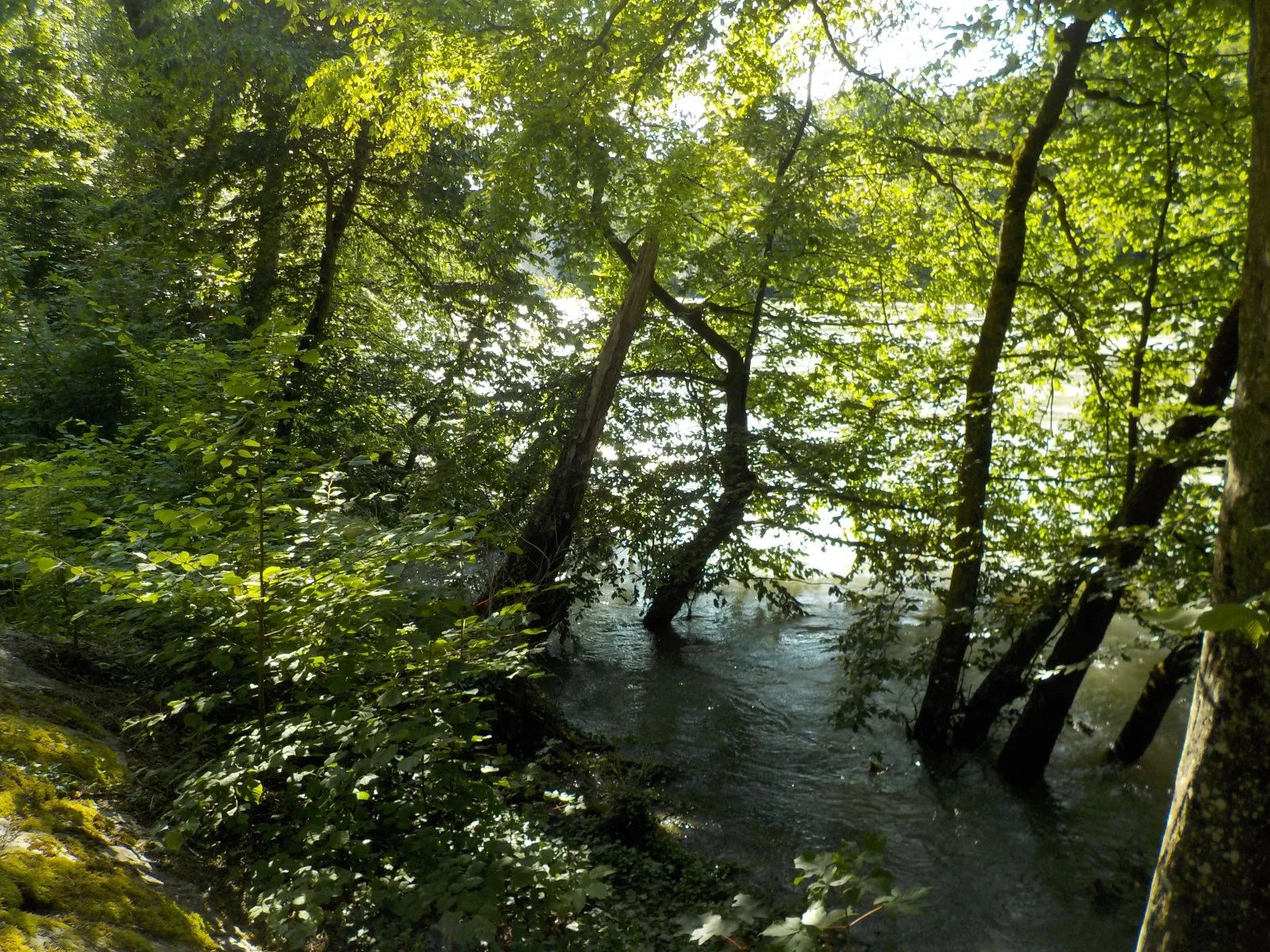 DSCN4633.JPG