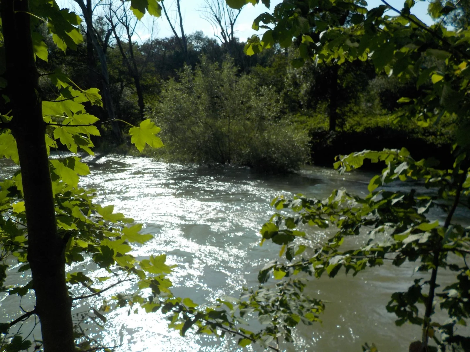 DSCN4643.JPG