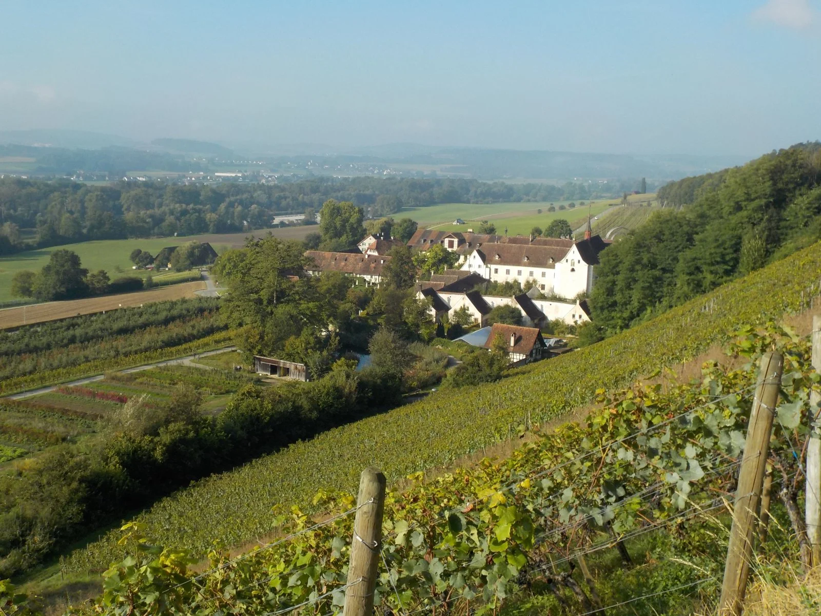 DSCN4716.JPG