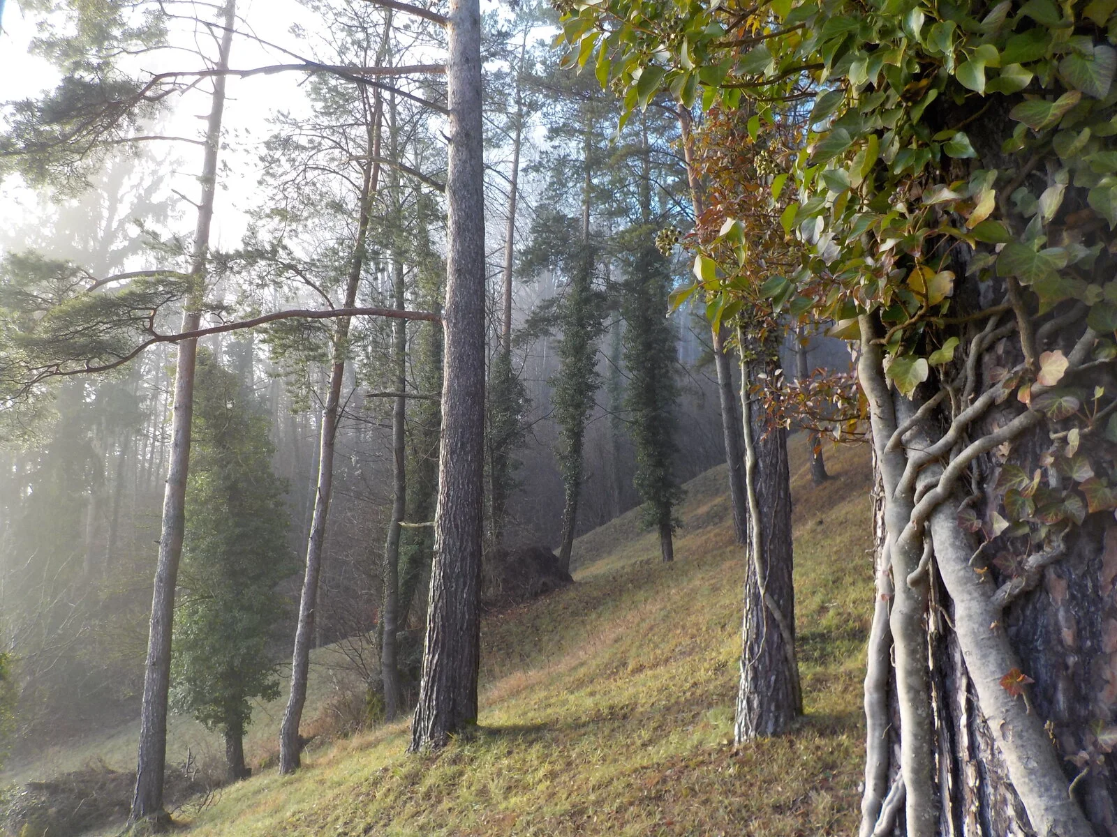 DSCN4851.JPG