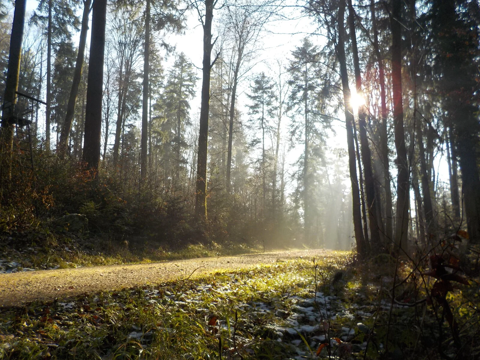 DSCN4918.JPG