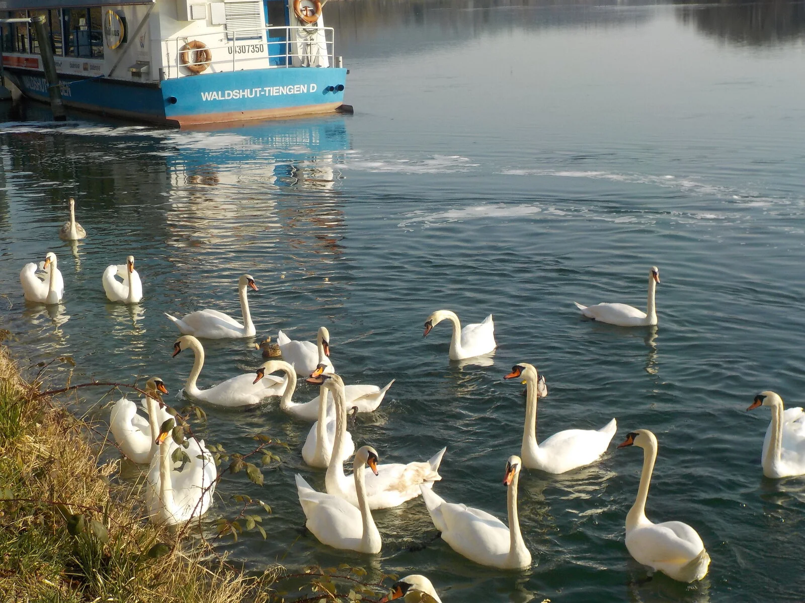 DSCN4986.JPG