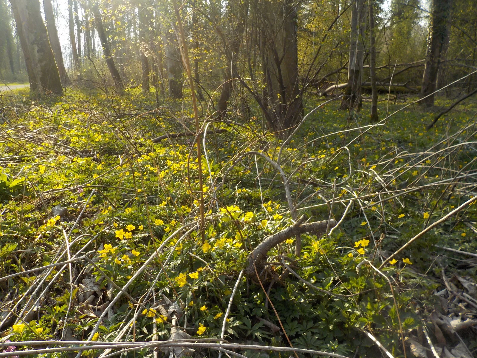 DSCN4997.JPG
