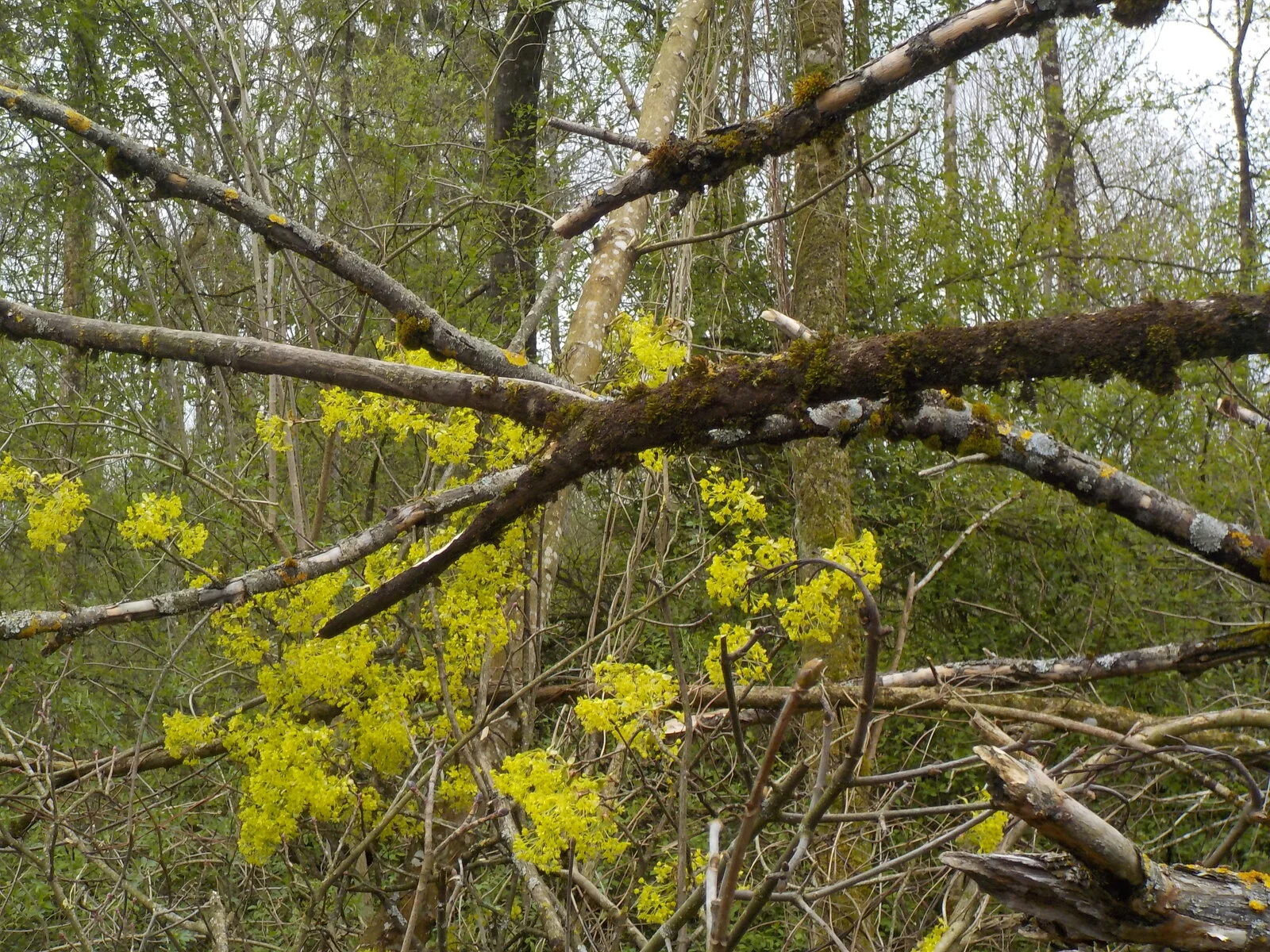 DSCN5026.JPG