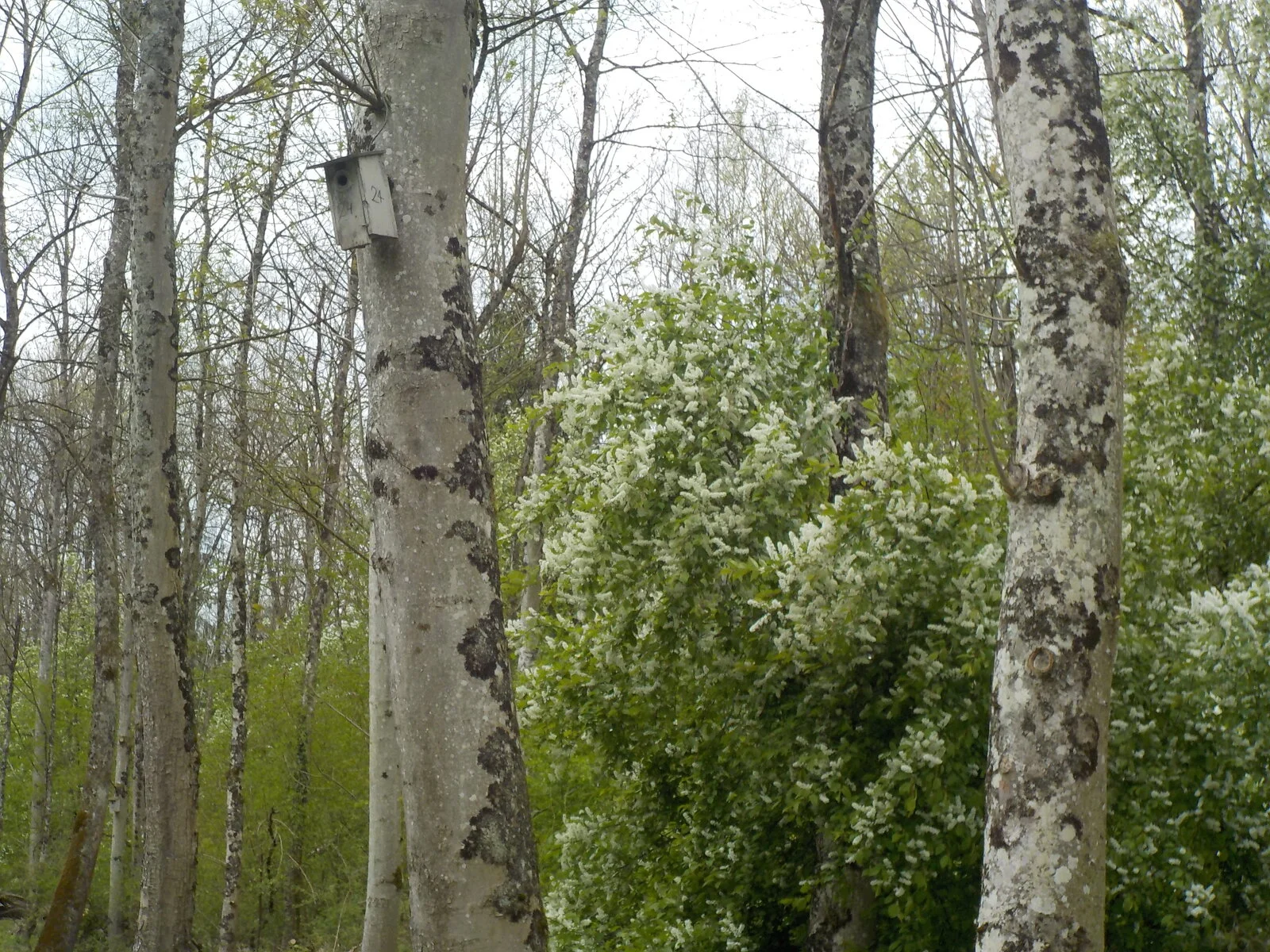 DSCN5055.JPG