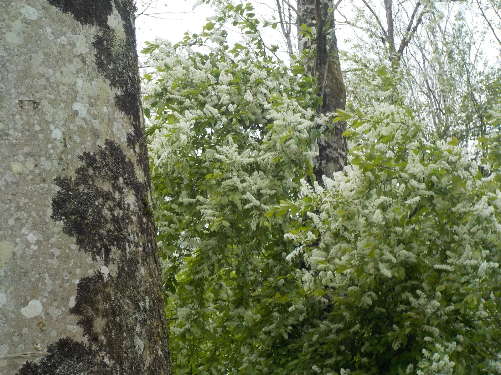 DSCN5056.JPG