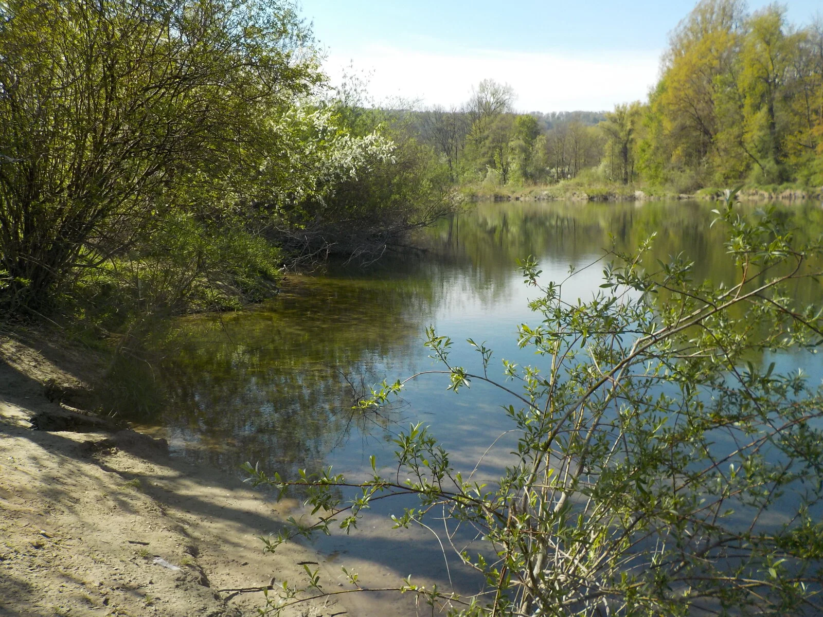 DSCN5068.JPG