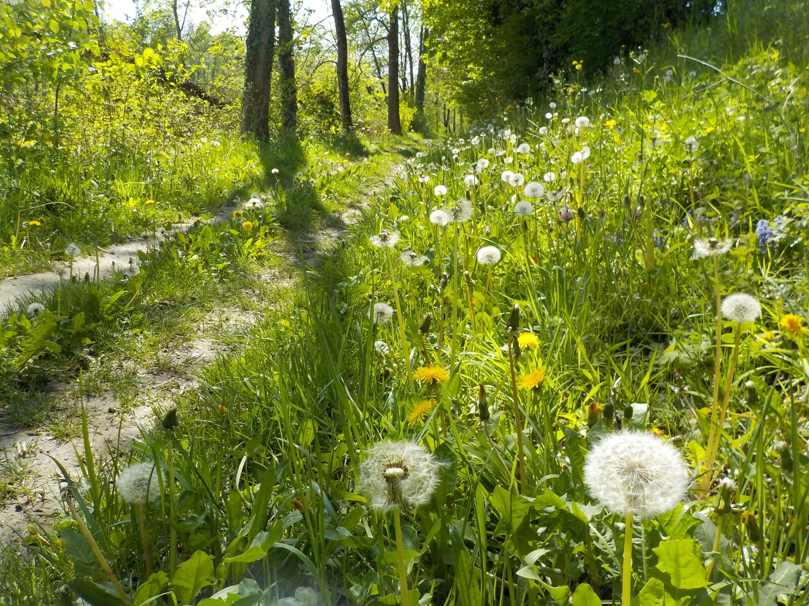 DSCN5098.JPG