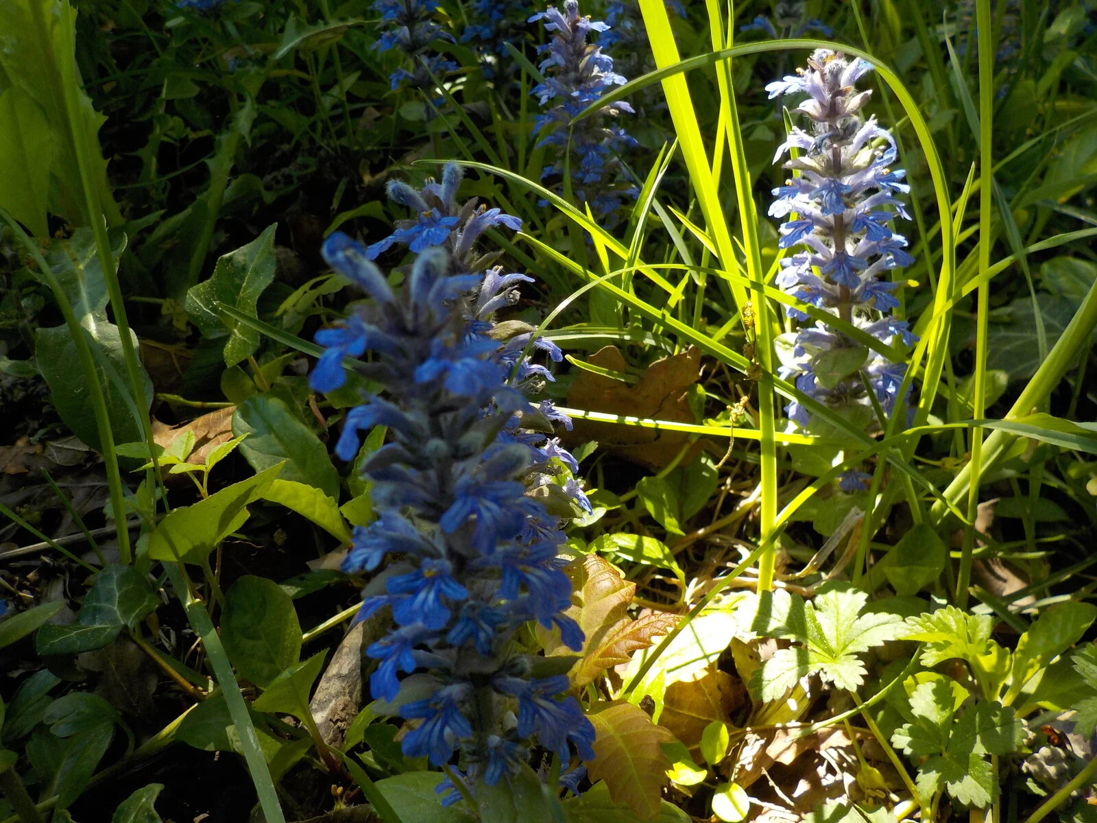 DSCN5120.JPG