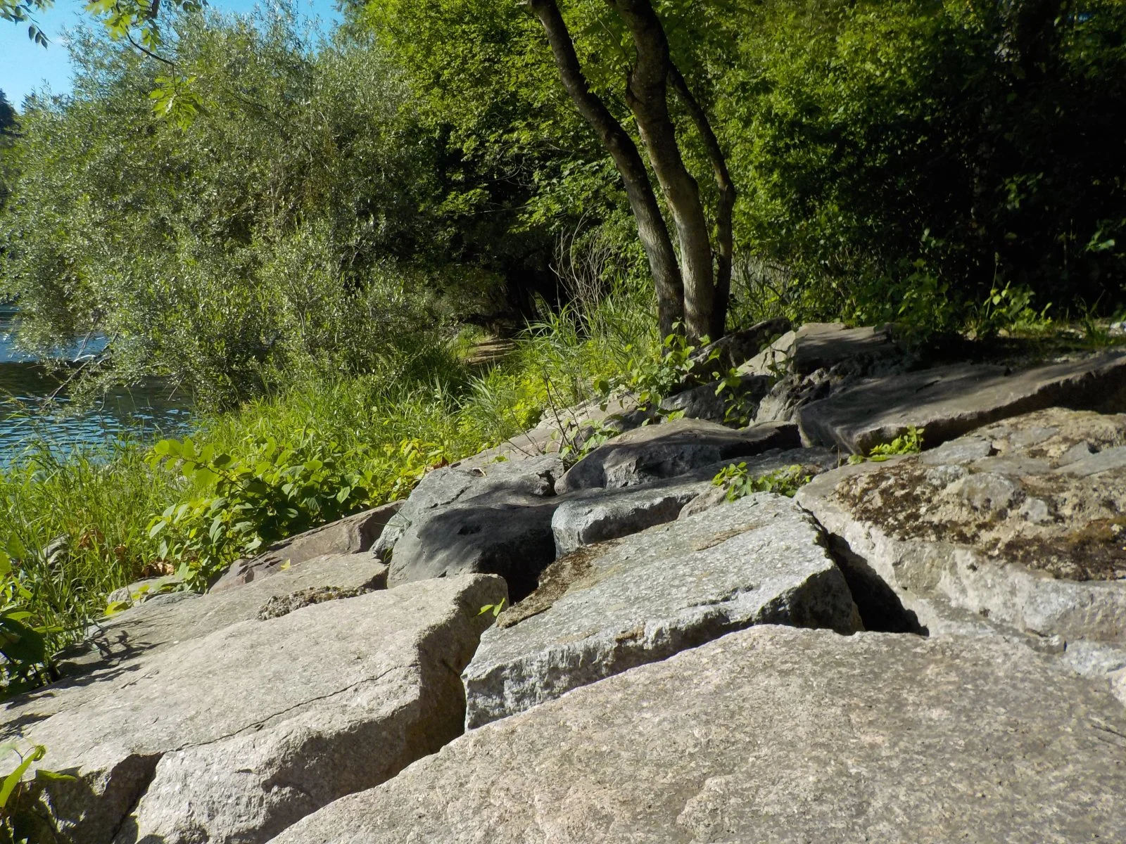 DSCN5206.JPG
