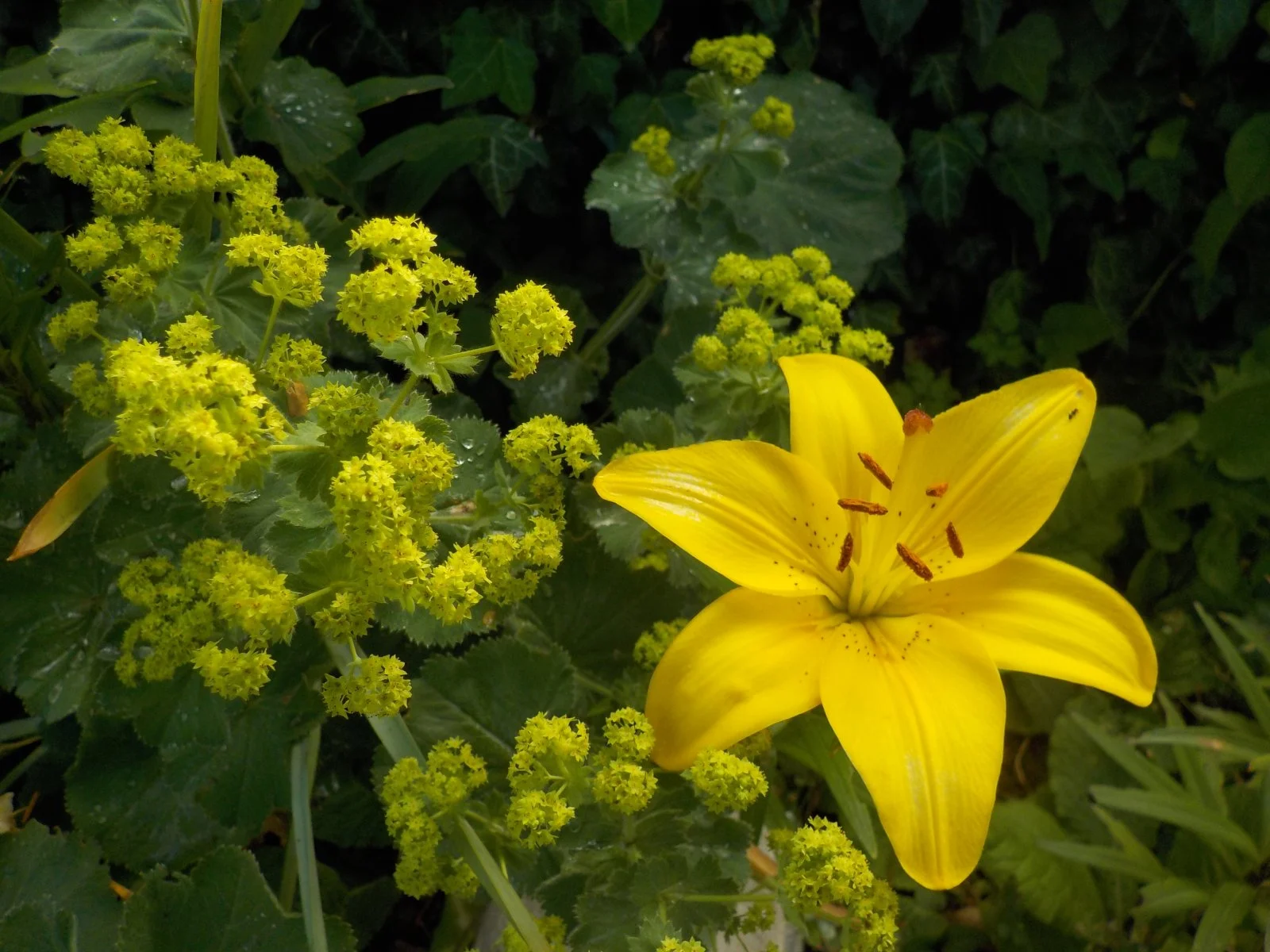 DSCN5208.JPG