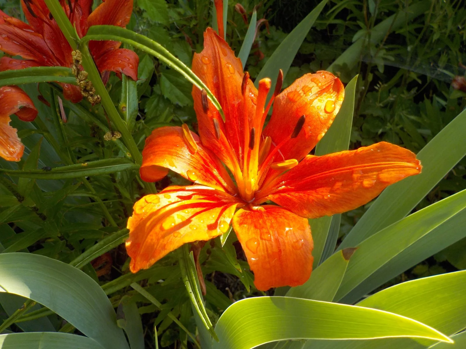 DSCN5209.JPG