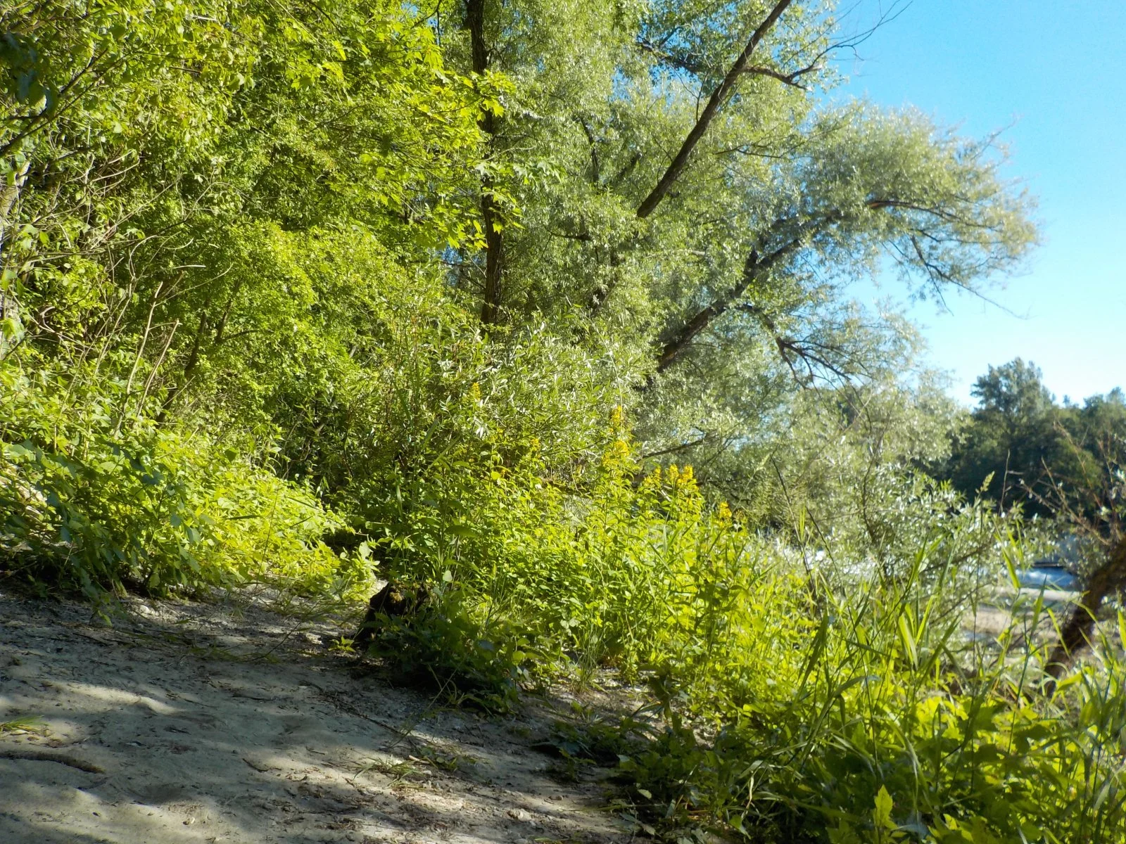 DSCN5217.JPG