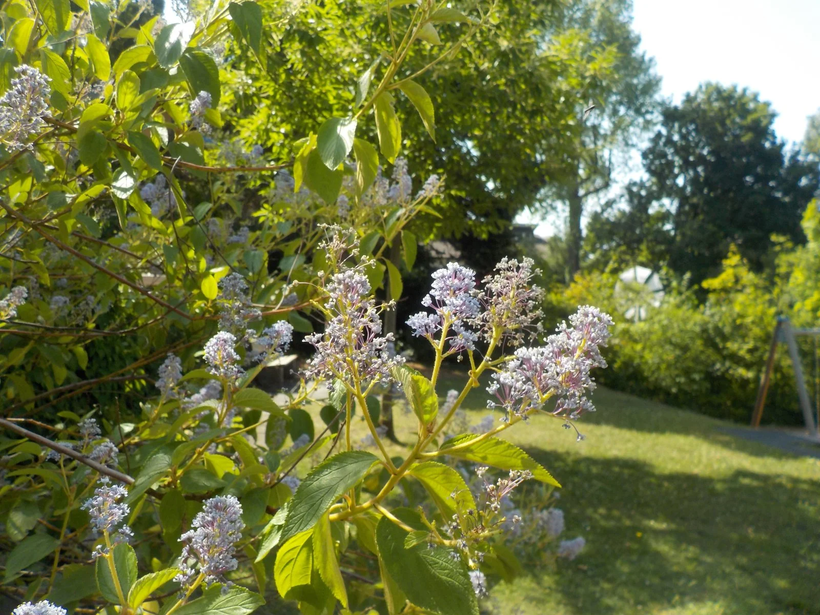 DSCN5246.JPG