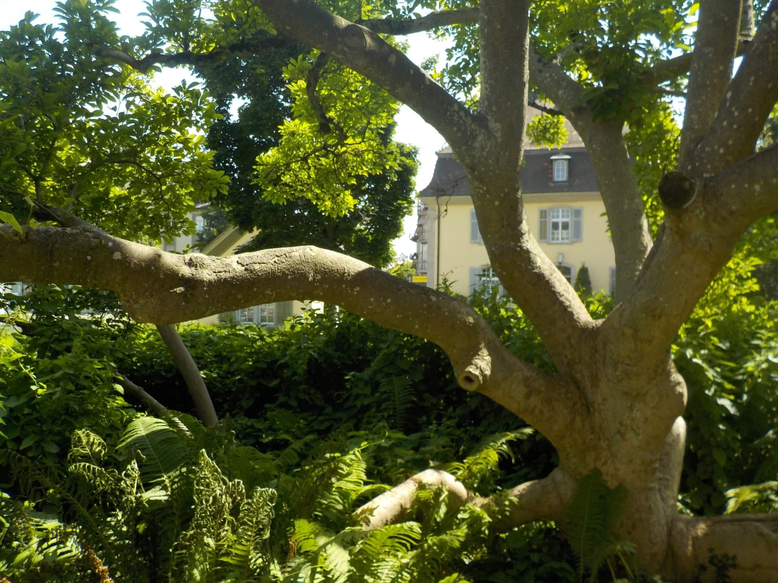 DSCN5256.JPG