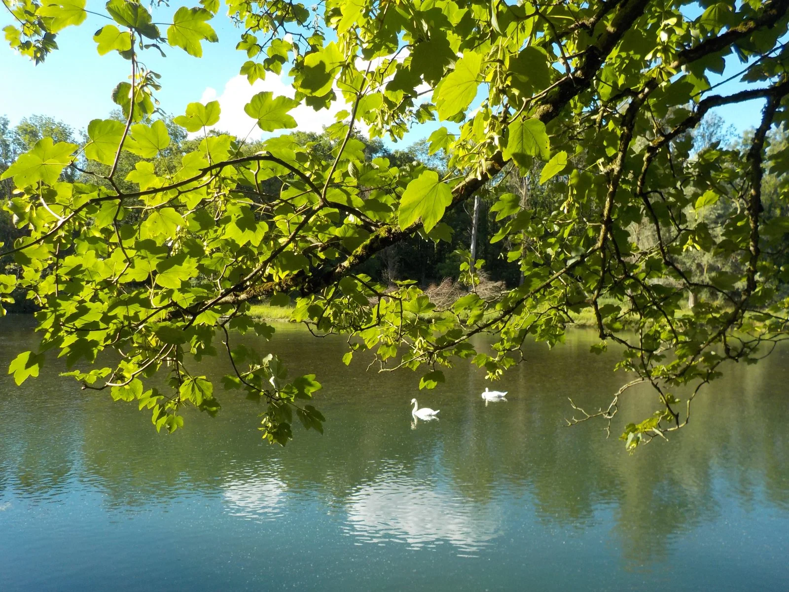 DSCN5312.JPG
