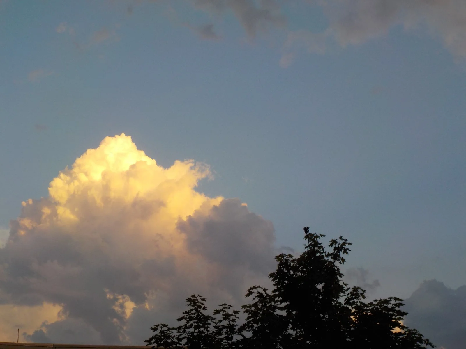 DSCN5353.JPG