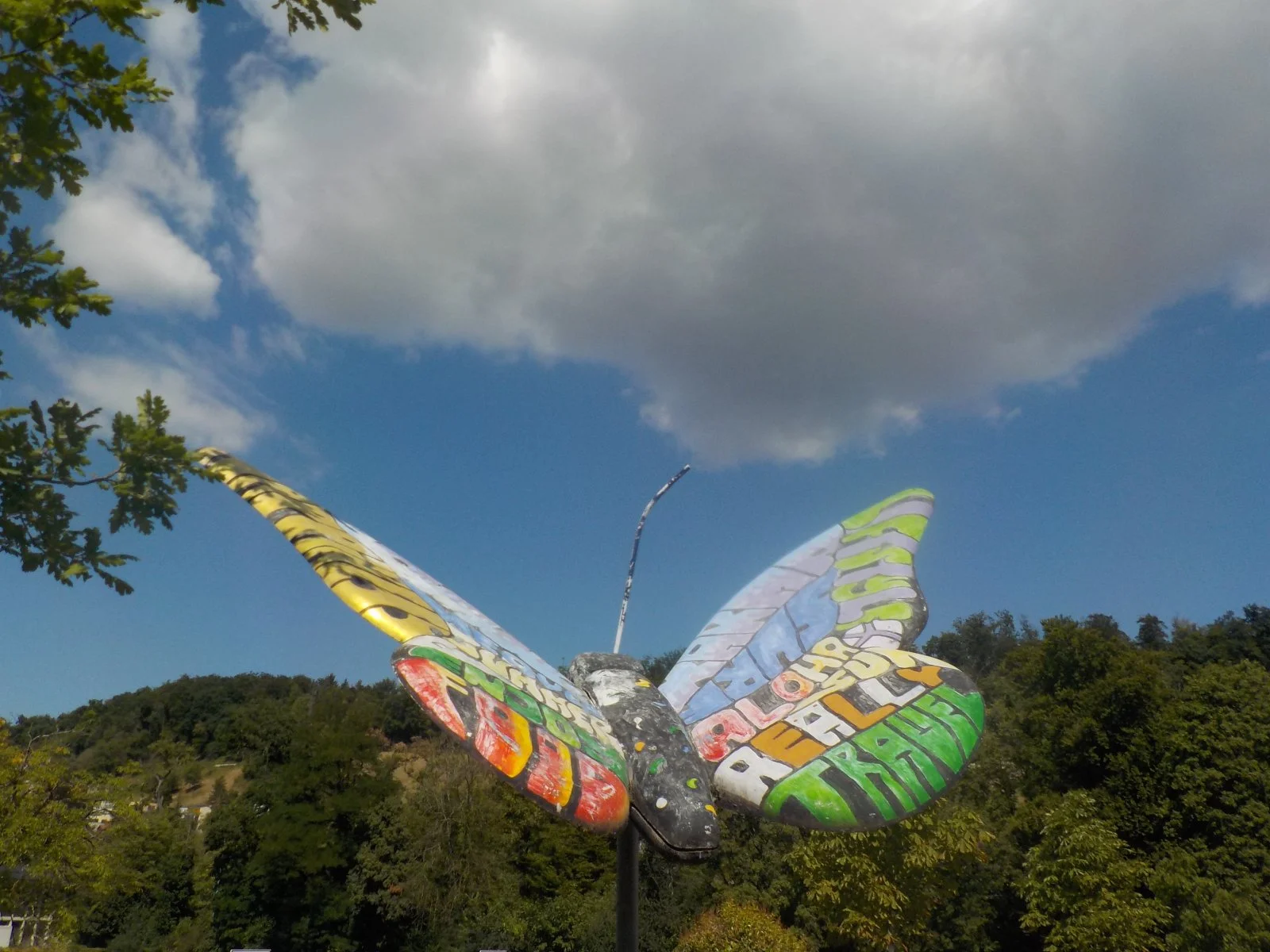 DSCN5372.JPG